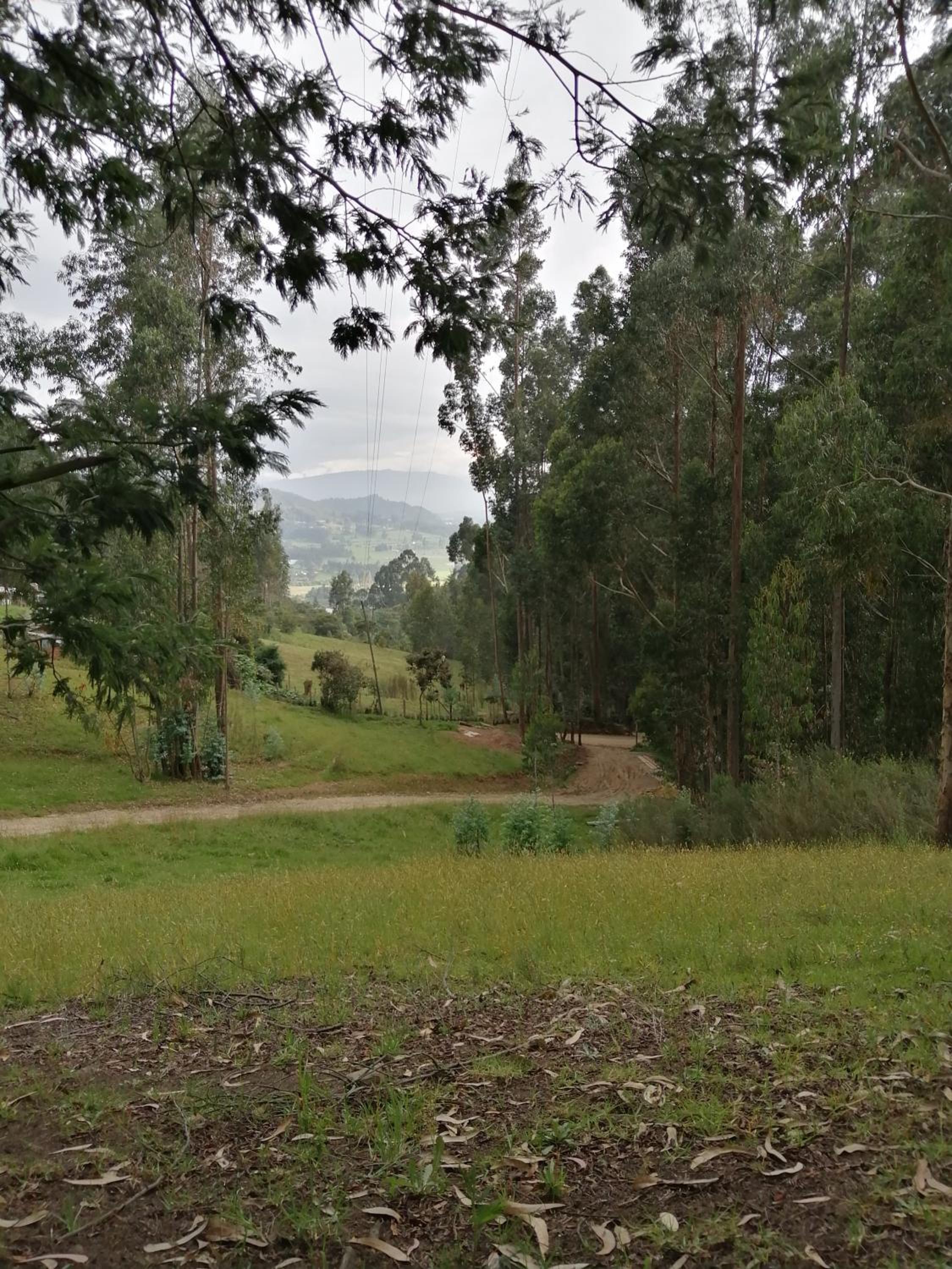 AIKA Reserva Glamping Tabio view 5