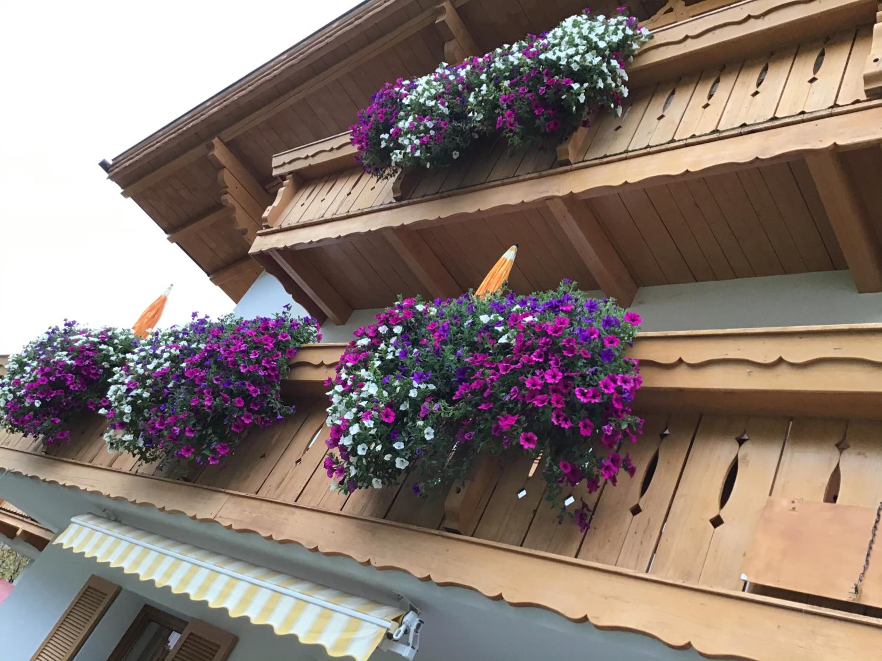 Gästehaus Wanker