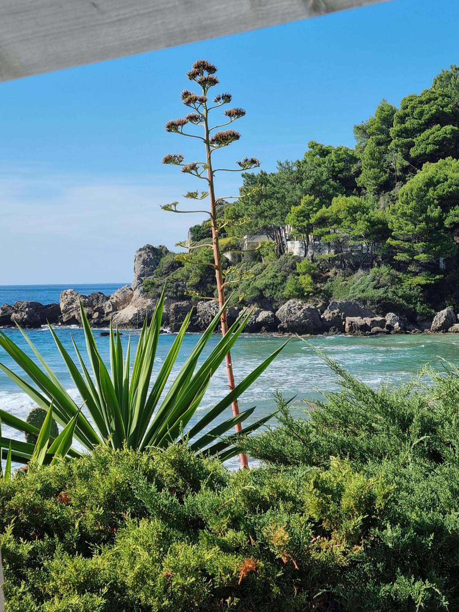 Corfu Dream Holidays Villas photo 3