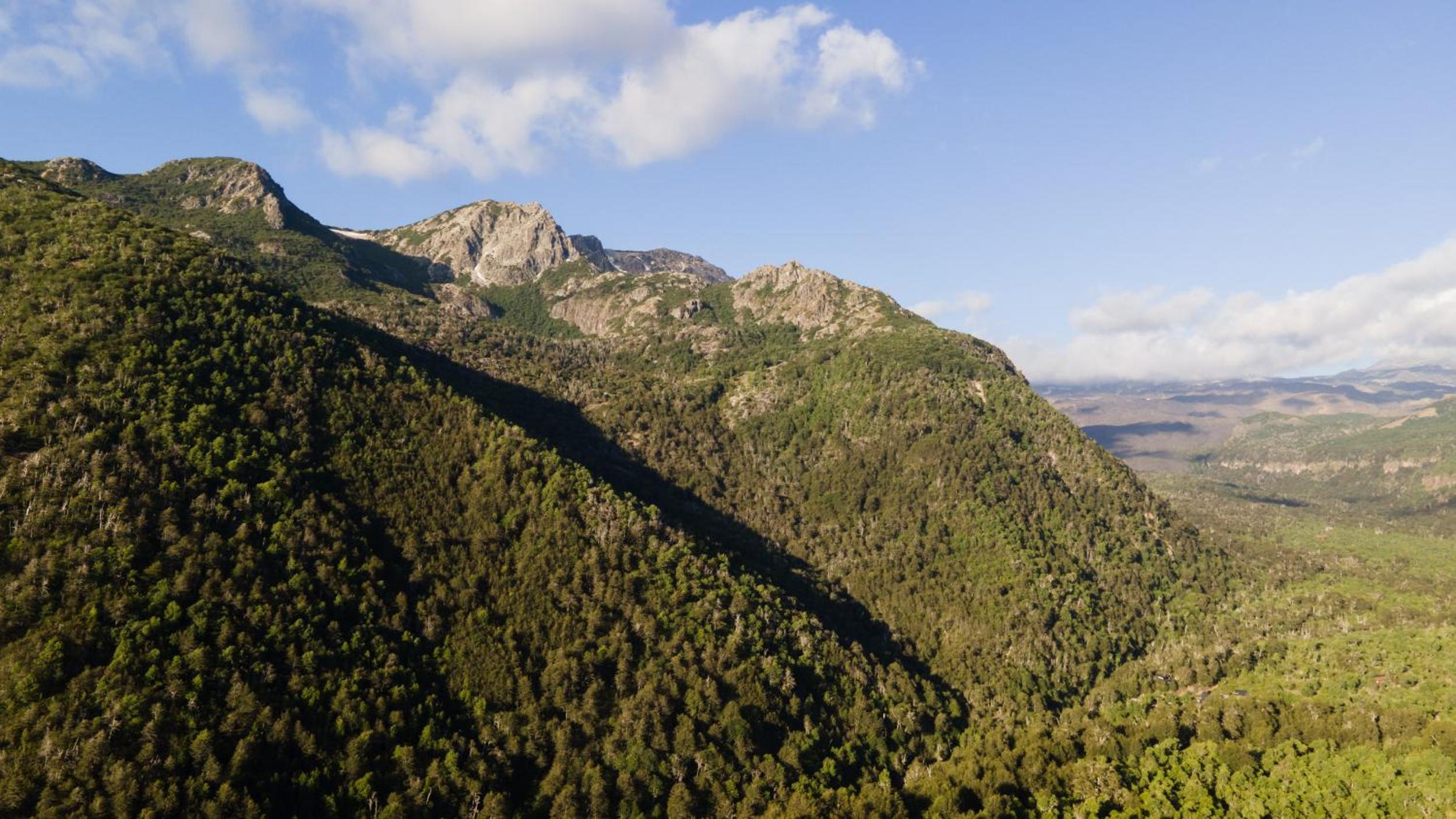 Andrómeda Lodge