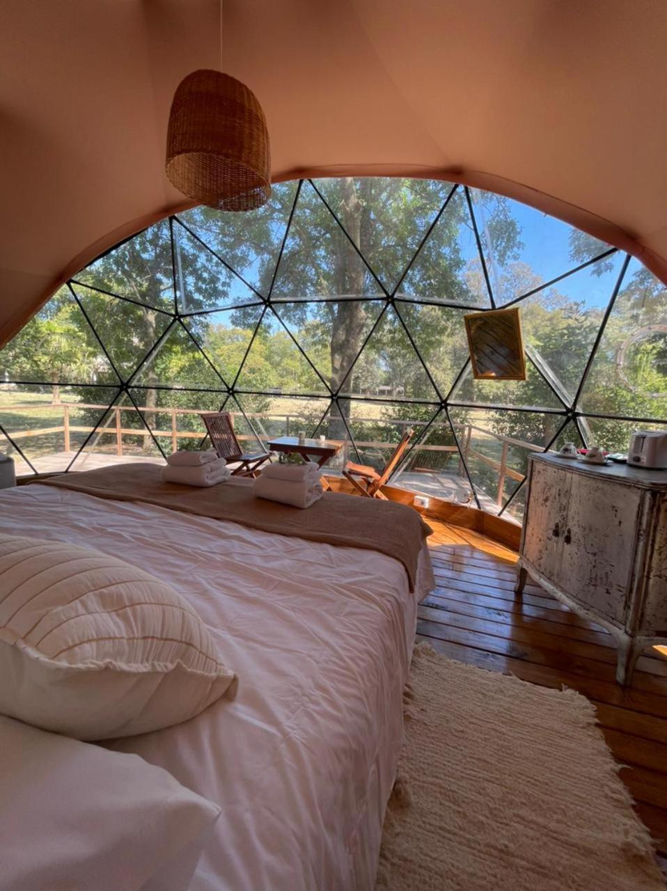 Don Aniceto Lodges & Glamping