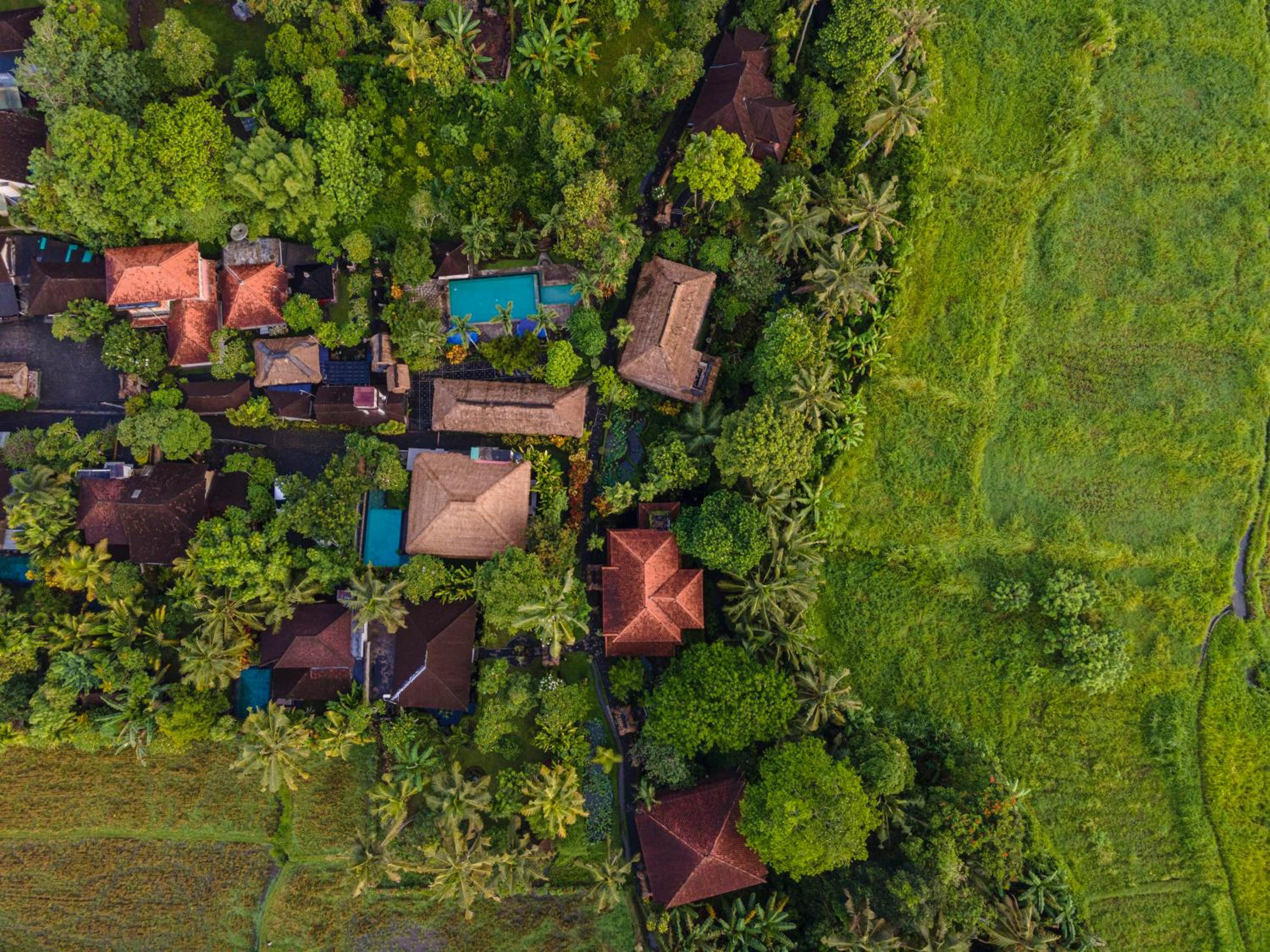 Alam Jiwa Ubud