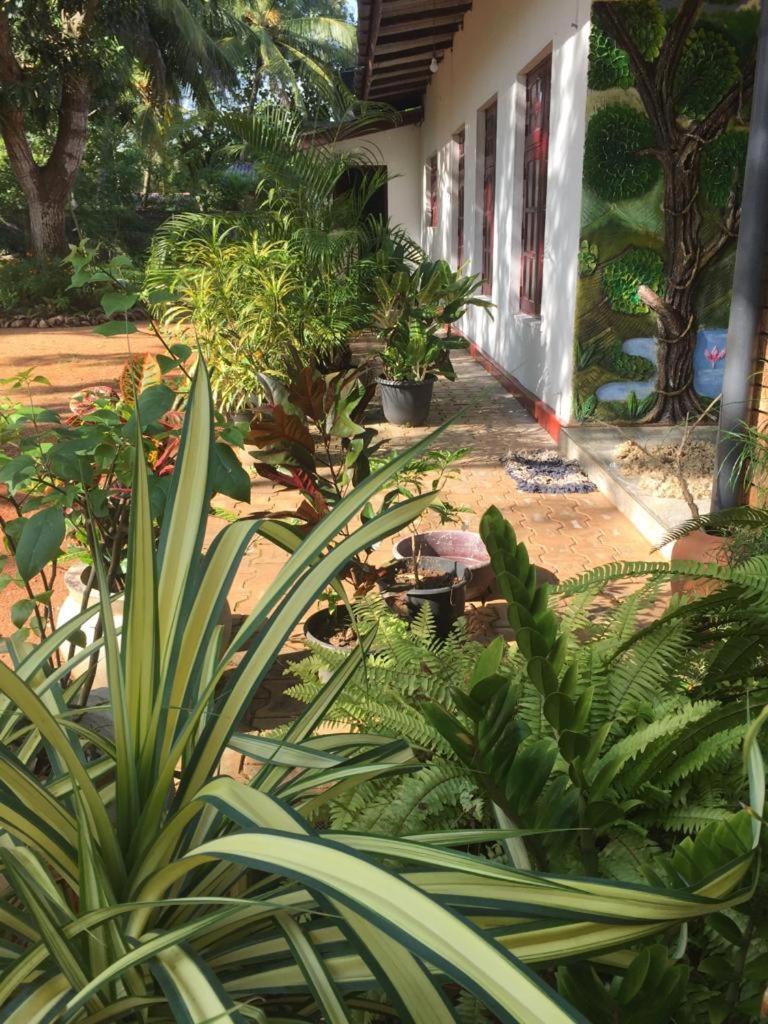 Olivia HomeStay