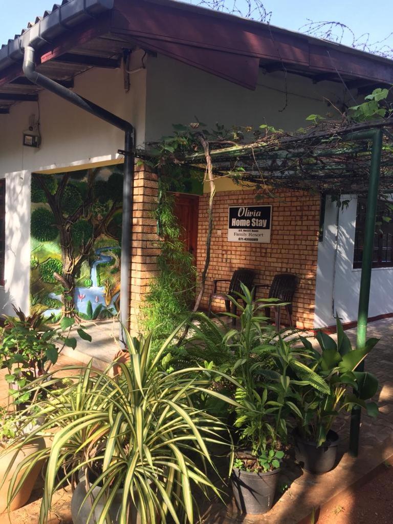 Olivia HomeStay