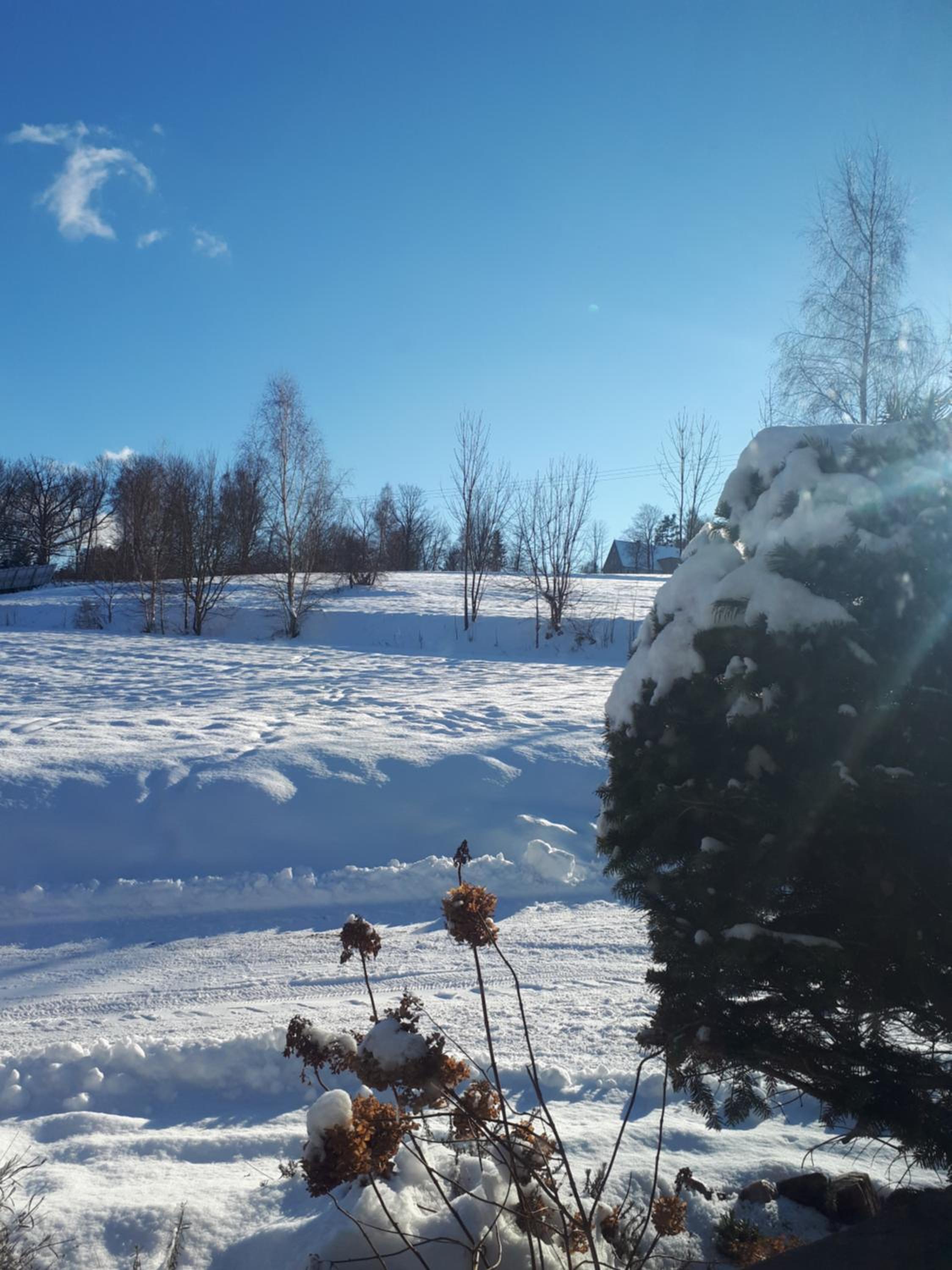 Lawendowy Zakątek - Agroturystyka view 2
