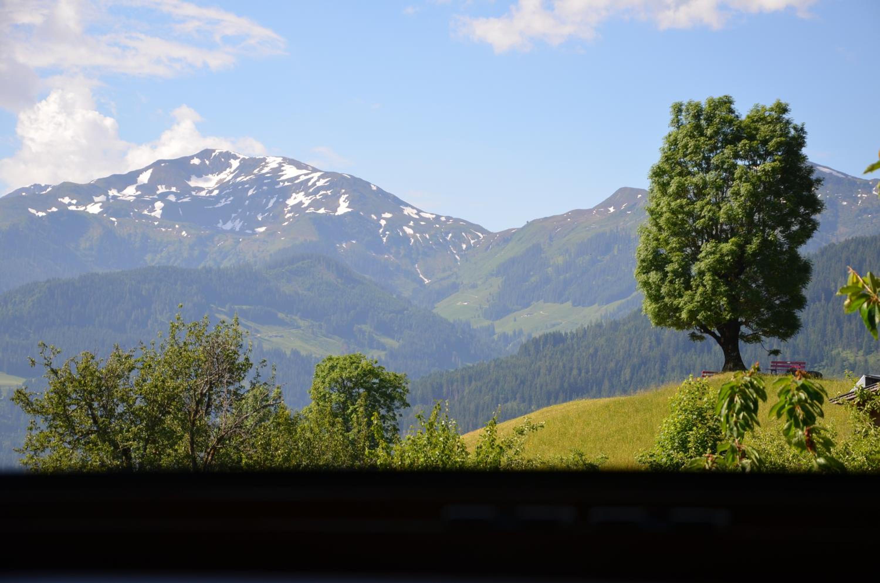 Gasthof Schöntal