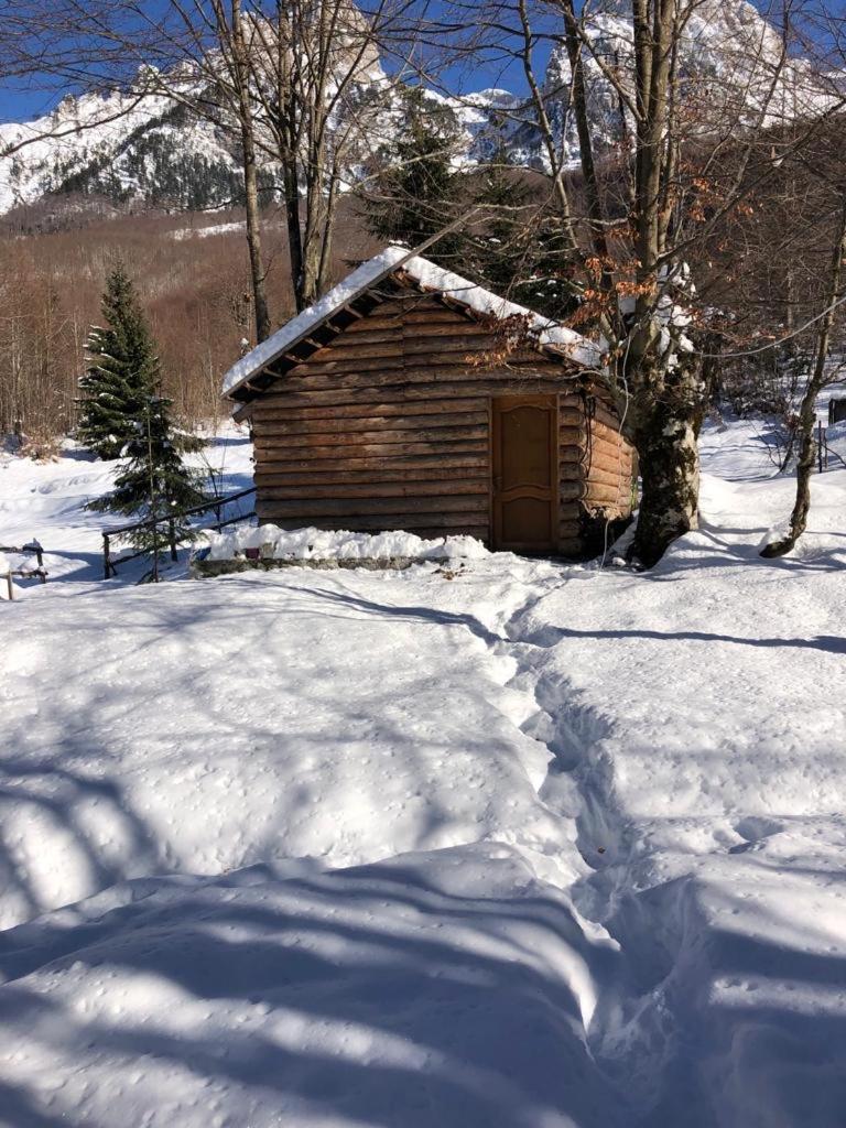 Guest house Hyrmet Demushi