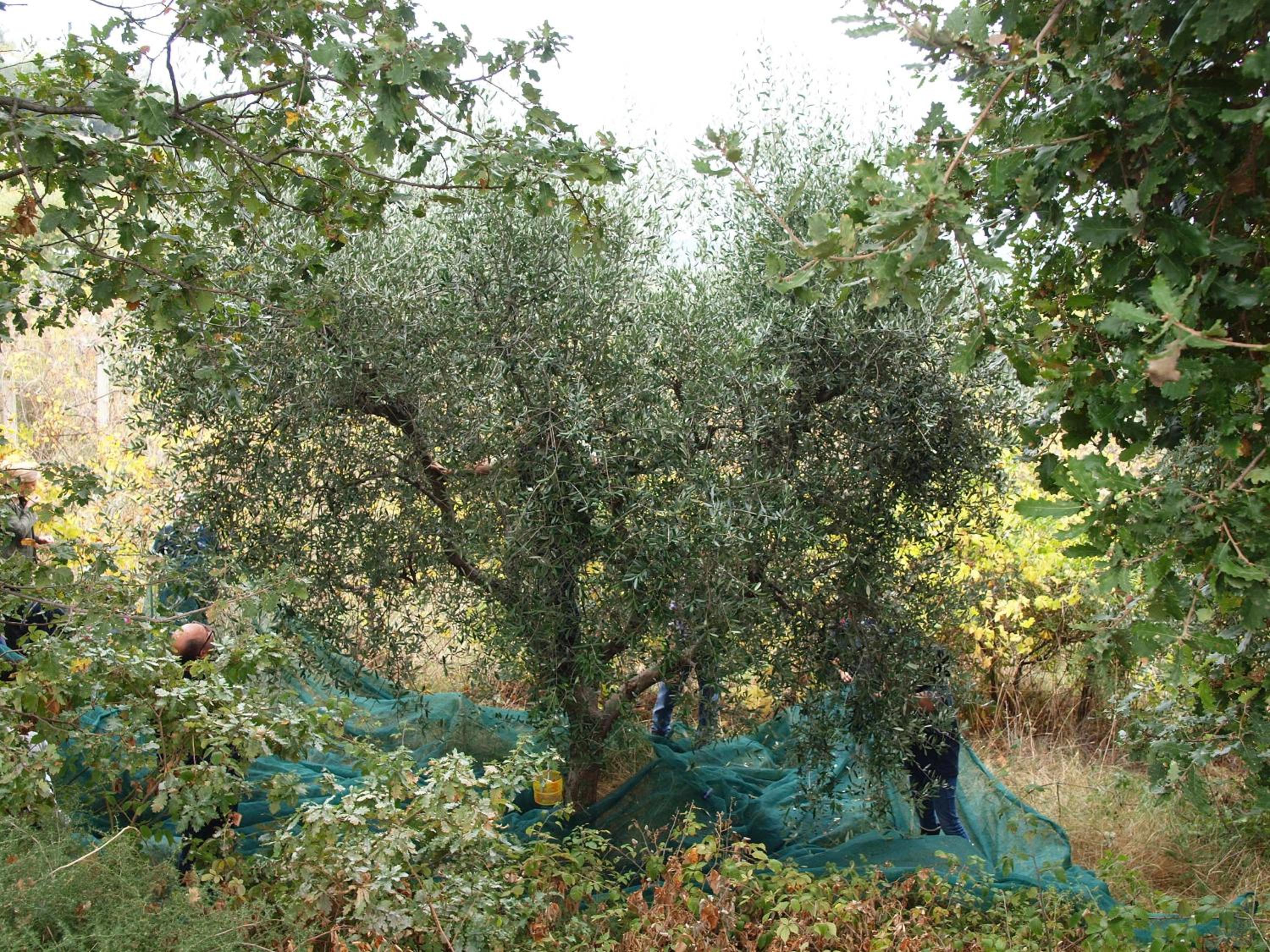 Photo 22