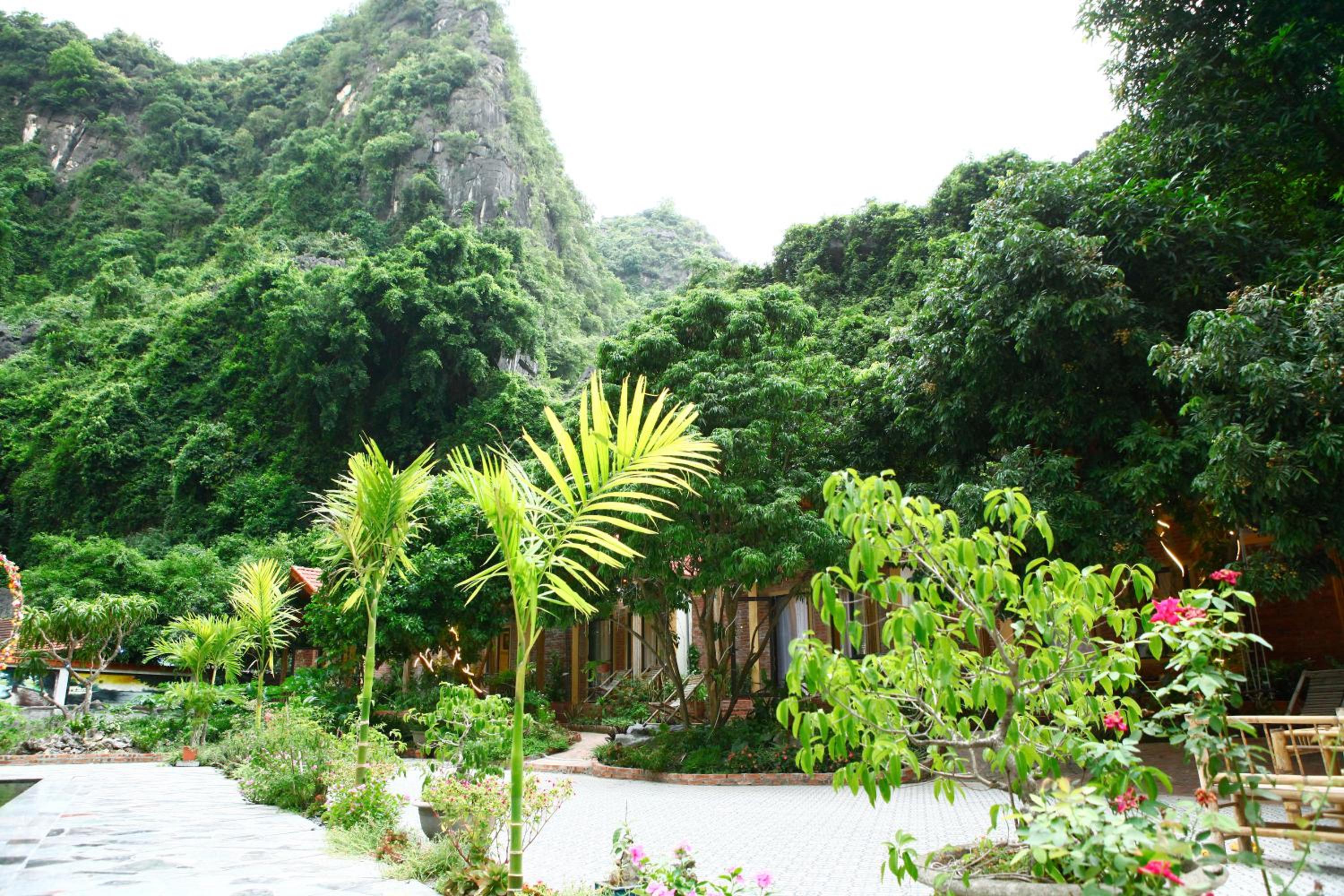 Veo Retreat Tam Coc