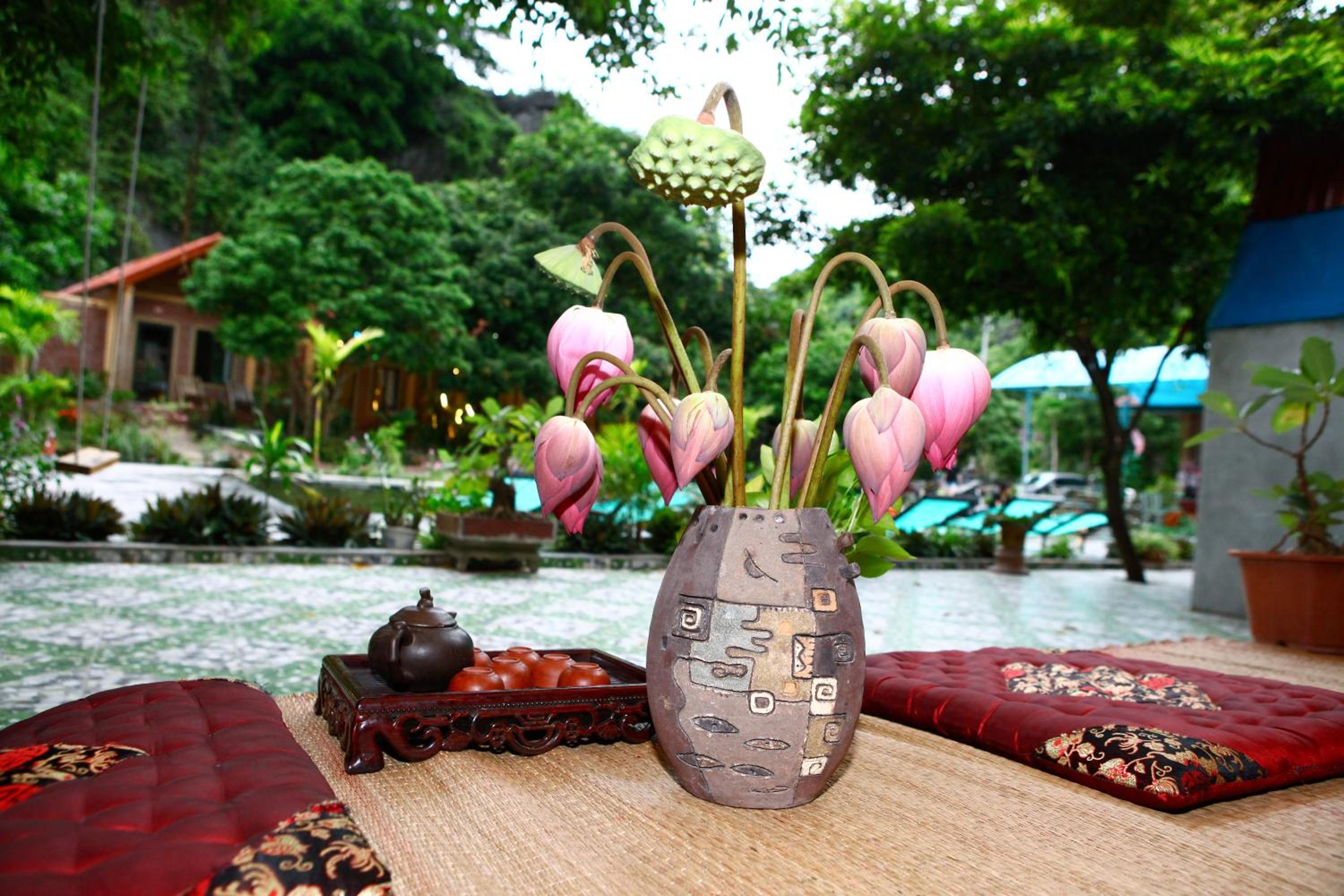 Veo Retreat Tam Coc