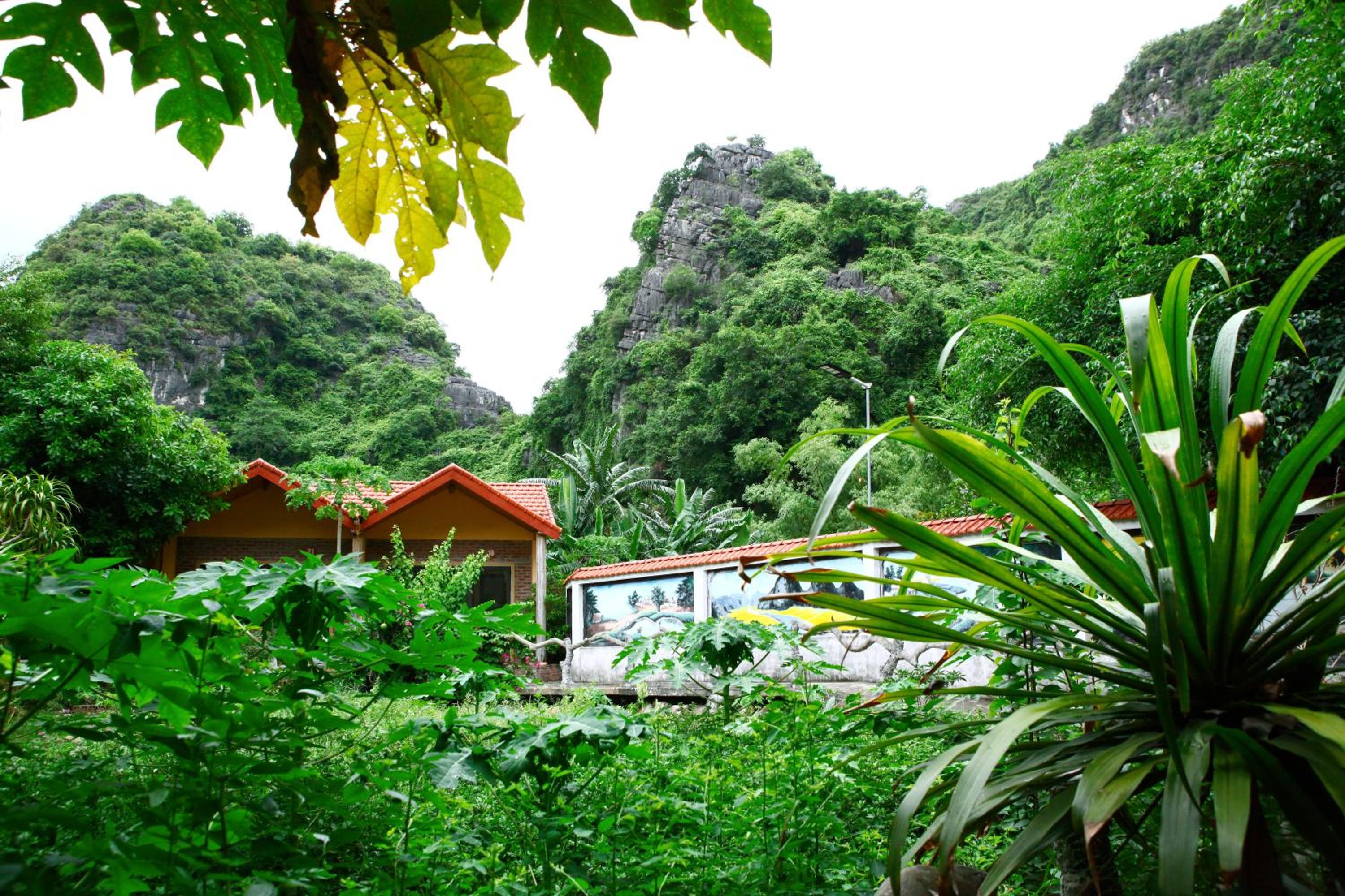 Veo Retreat Tam Coc