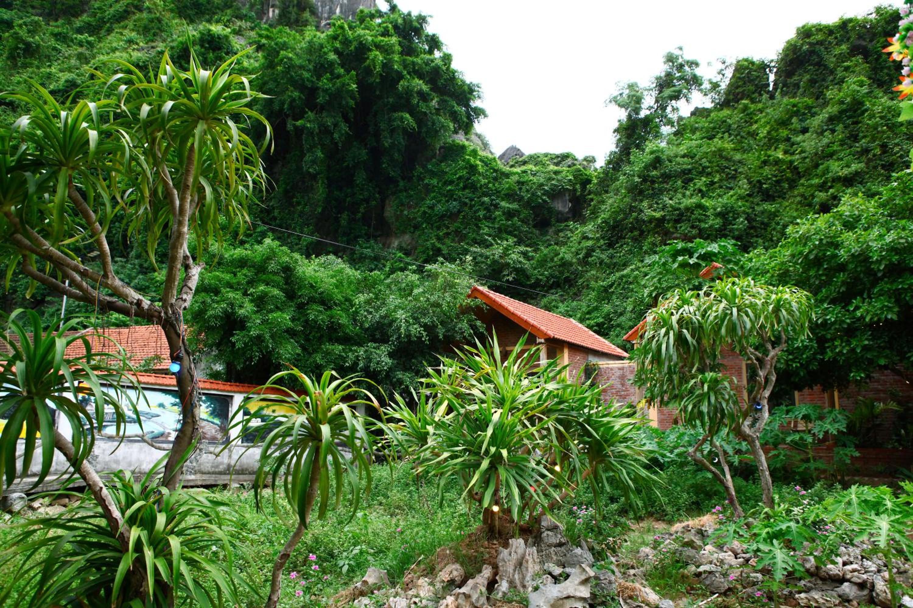 Veo Retreat Tam Coc
