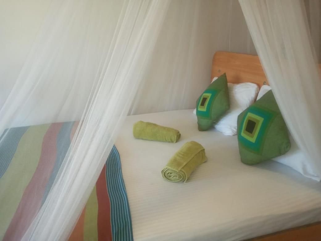 Photo 41