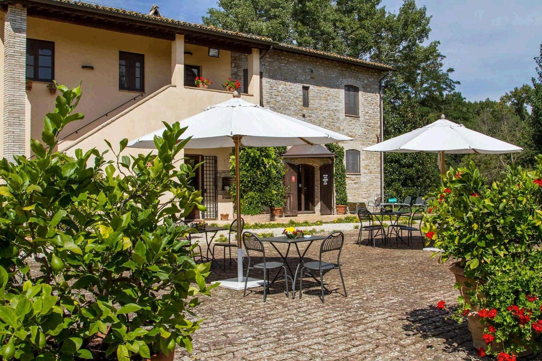 Agriturismo Podere La Fornace view 2