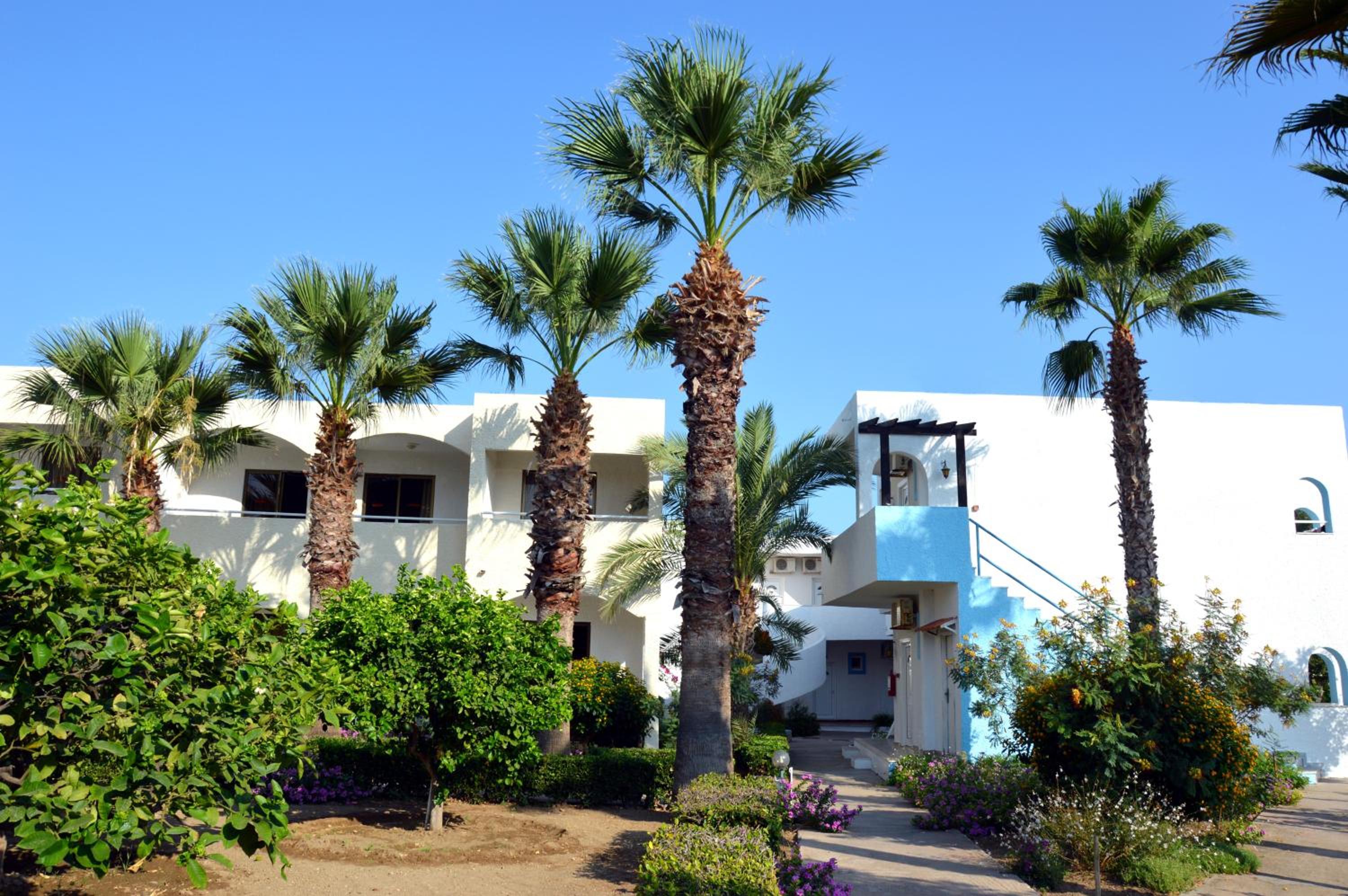 Muses Hotel en Faliraki