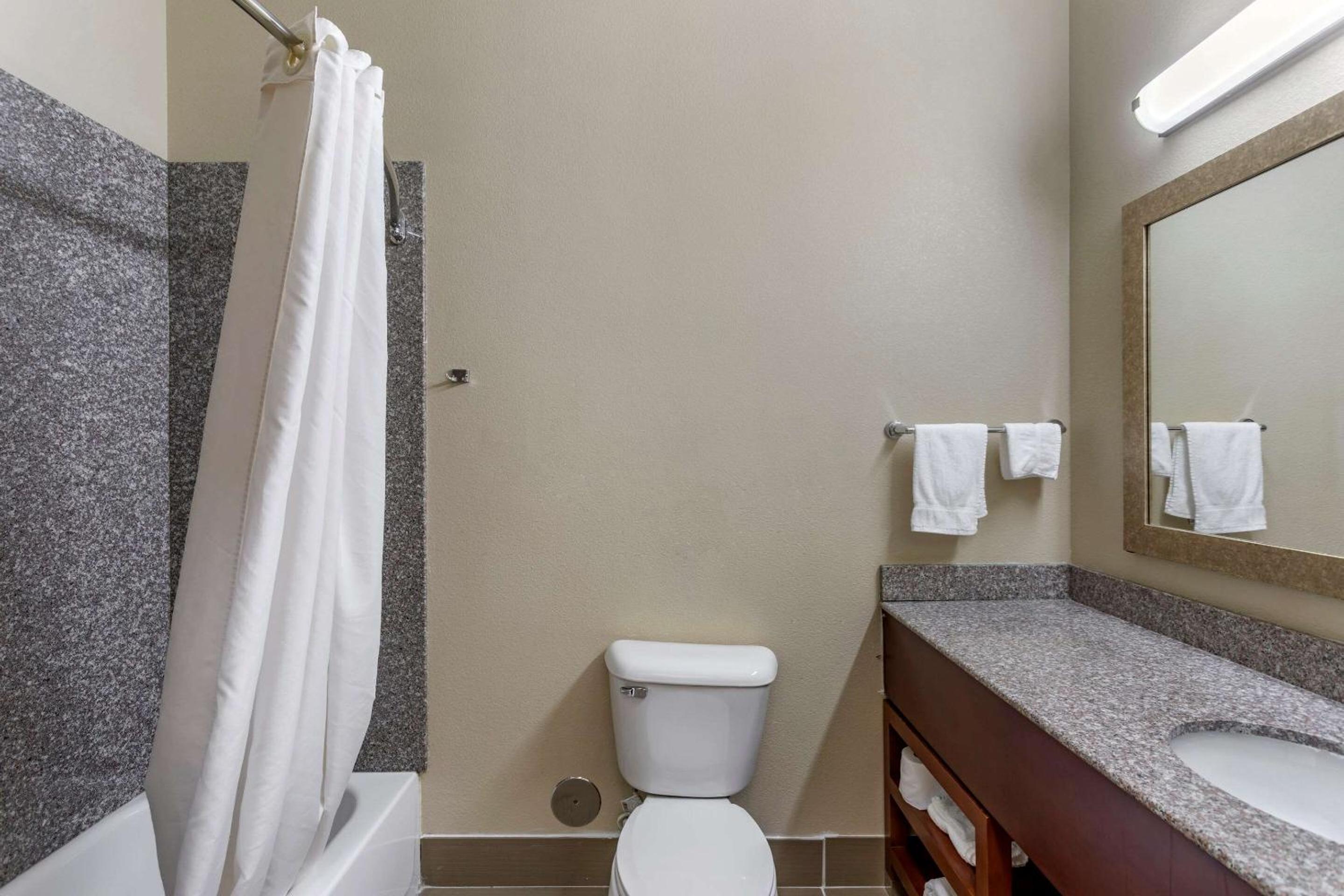 Carbondale Vacations - Comfort Inn  Suites Carbondale University Area - Property Image 11