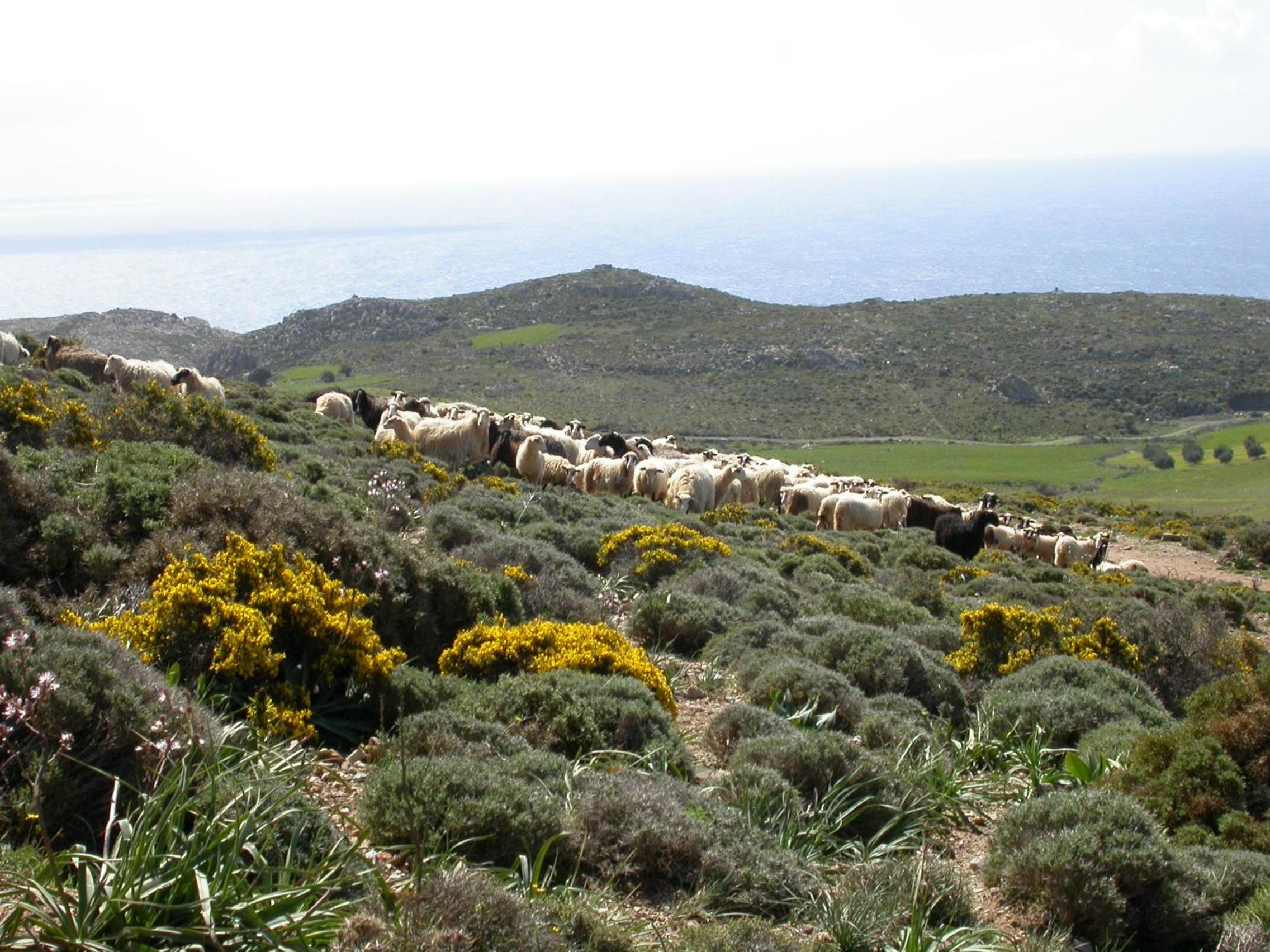 Photo 47
