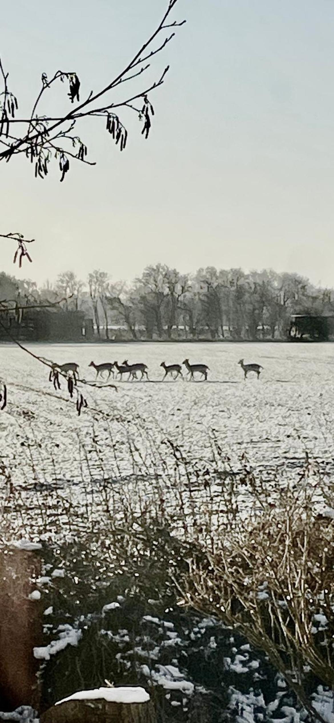 Skorstensfejerens Bed & Breakfast