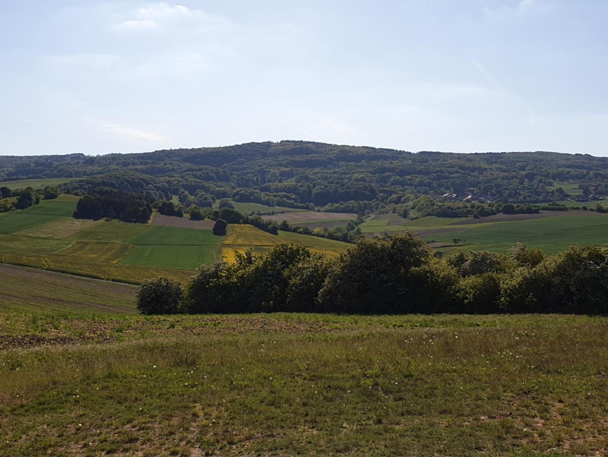 RhönStyle en Fladungen — other