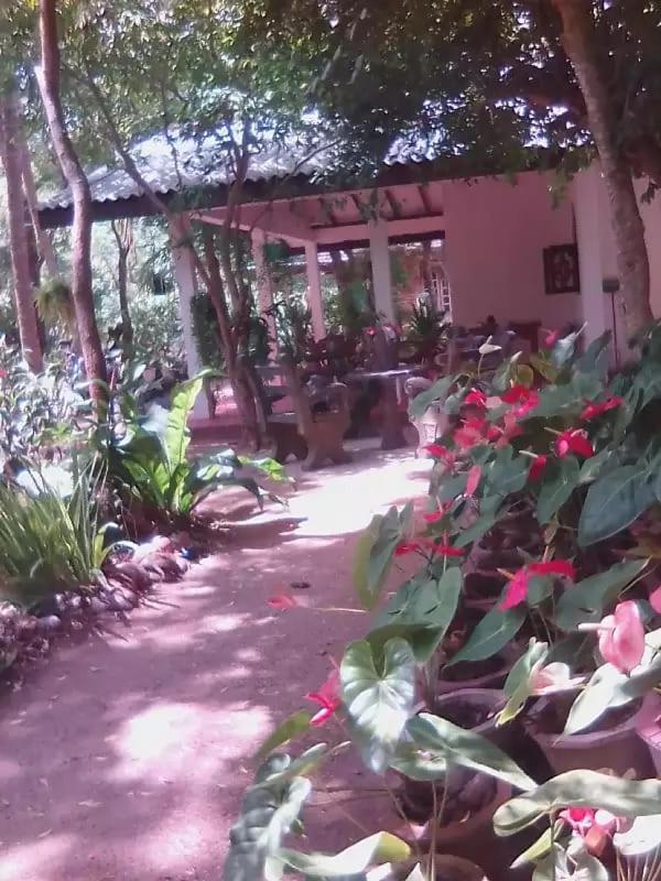 Ossa home stay