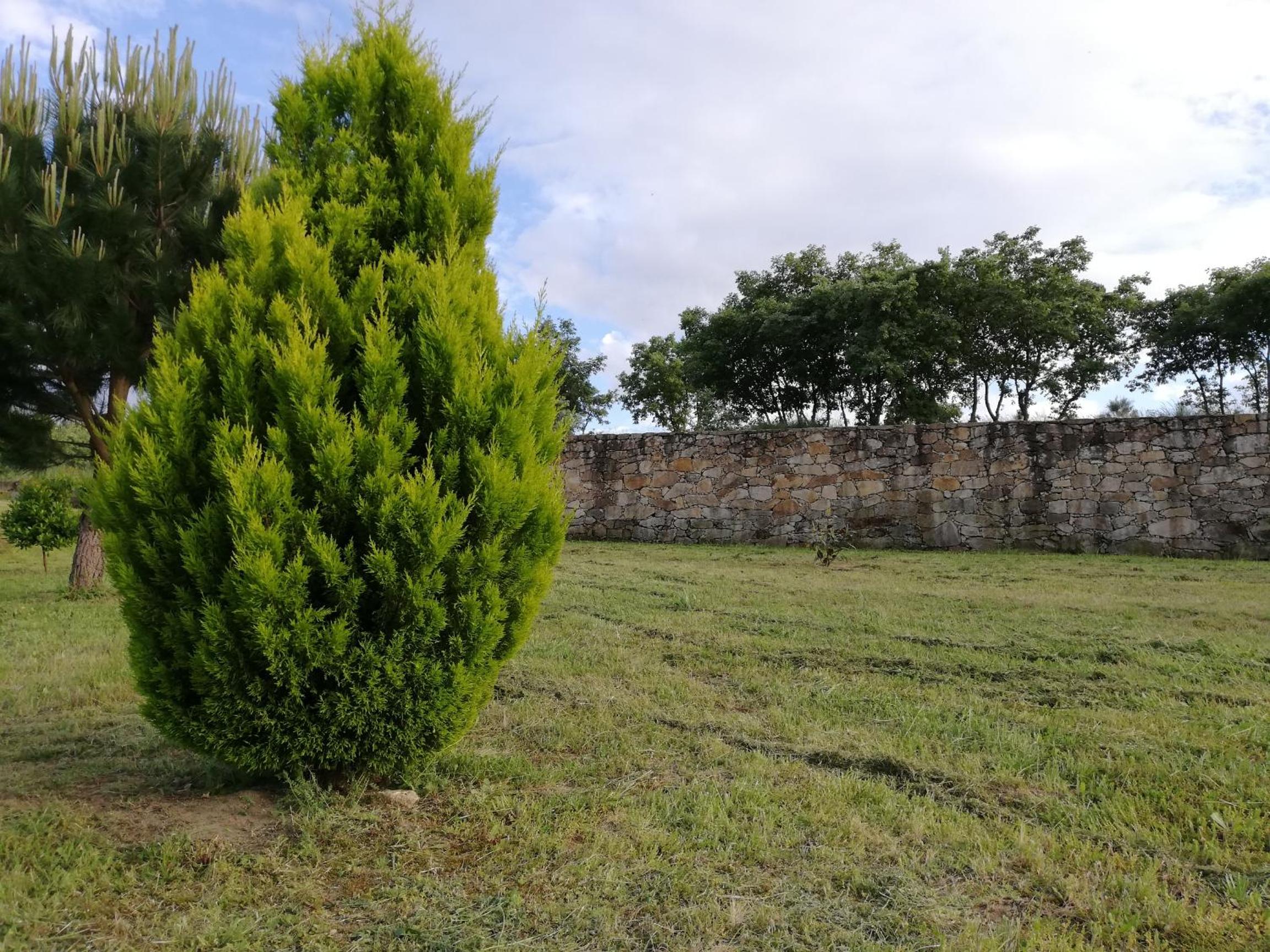 Photo 38