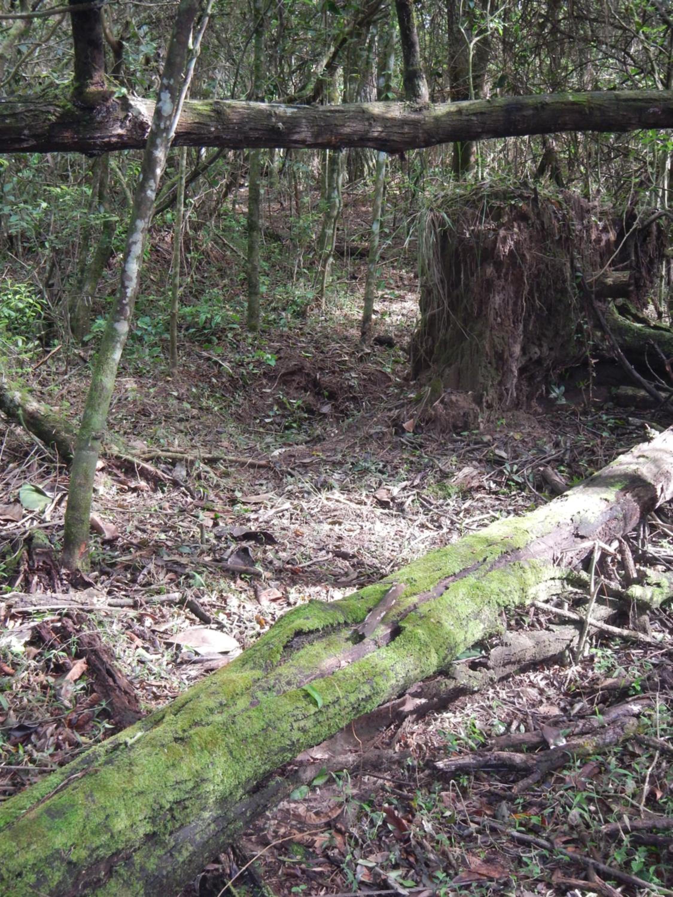 Photo 47