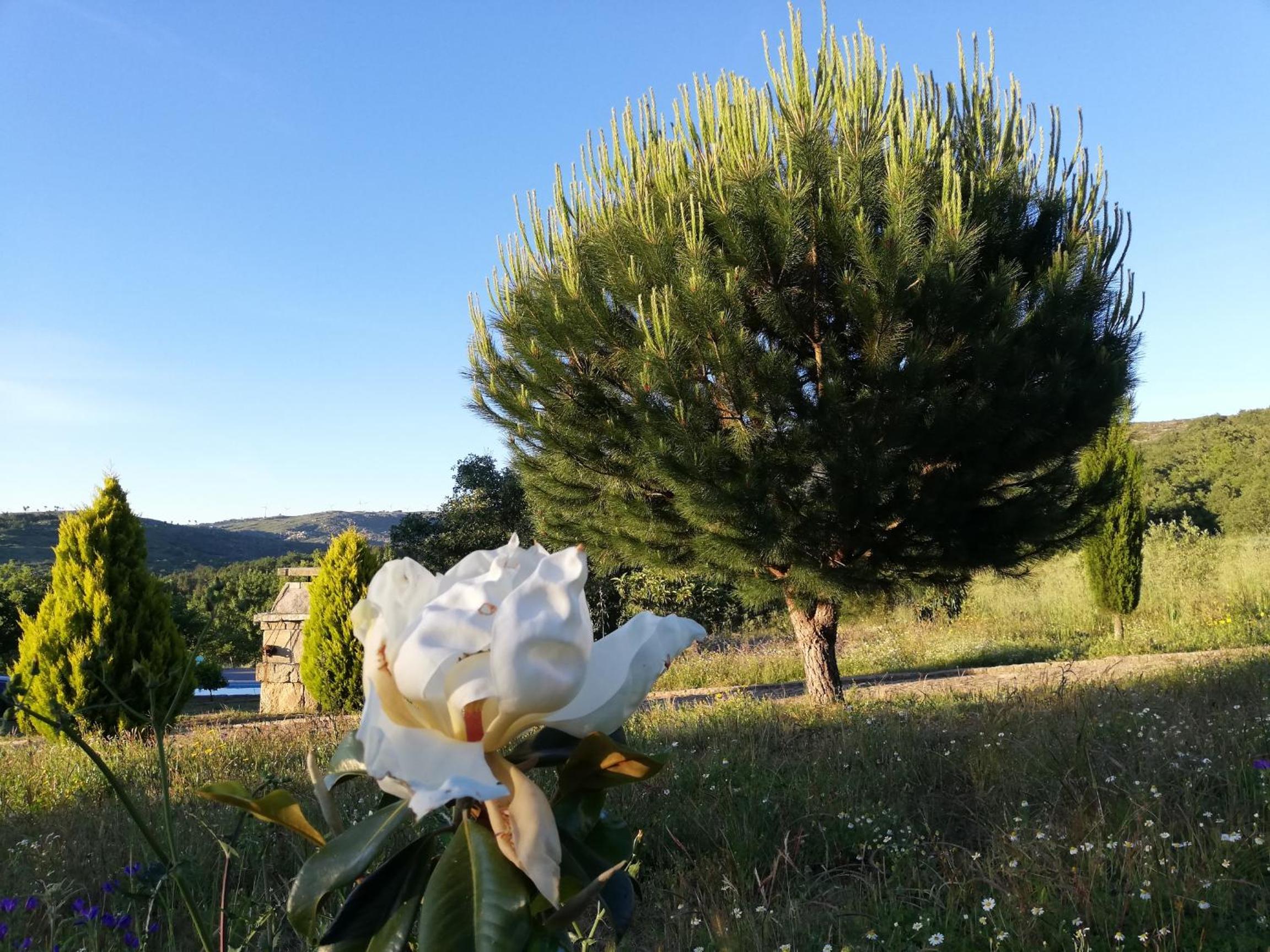 Photo 43