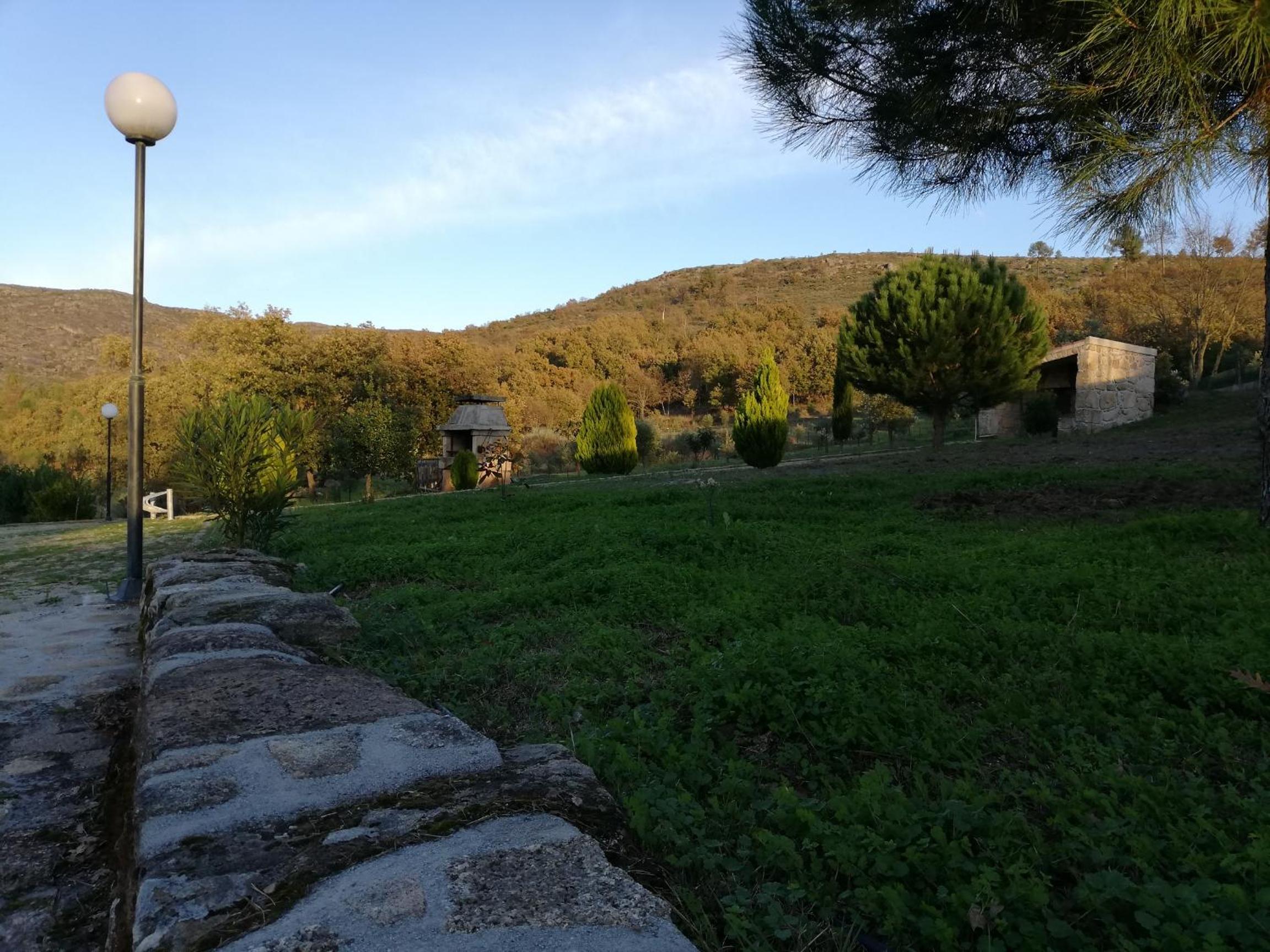 Photo 45