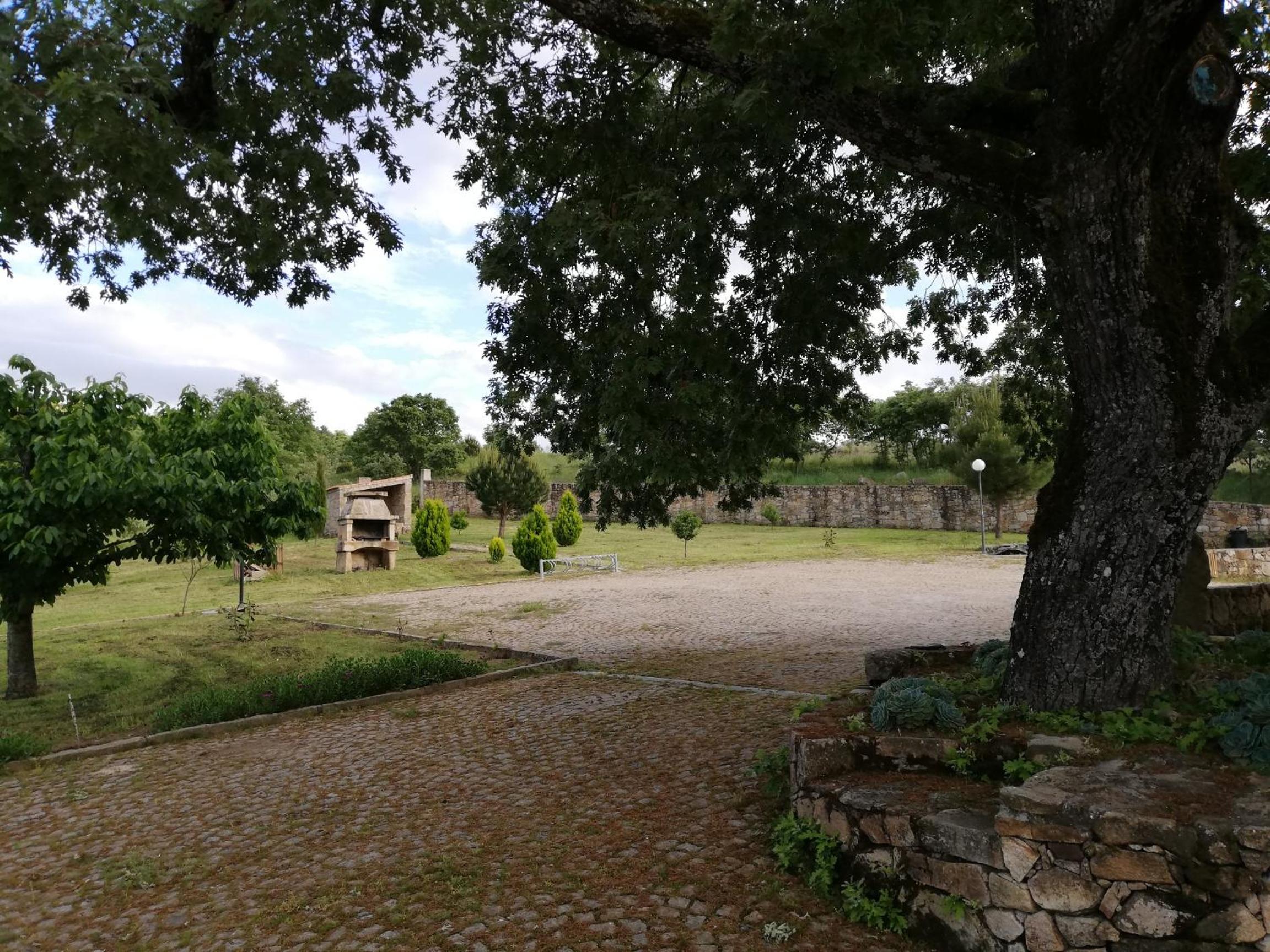 Photo 46