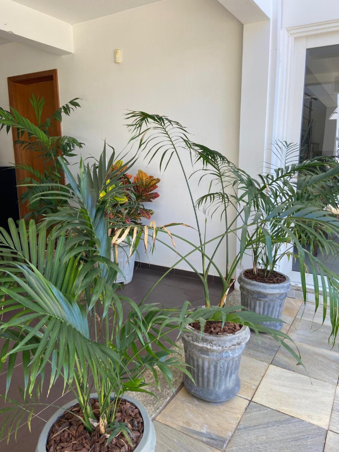 Suite residencial, Villa da Luz