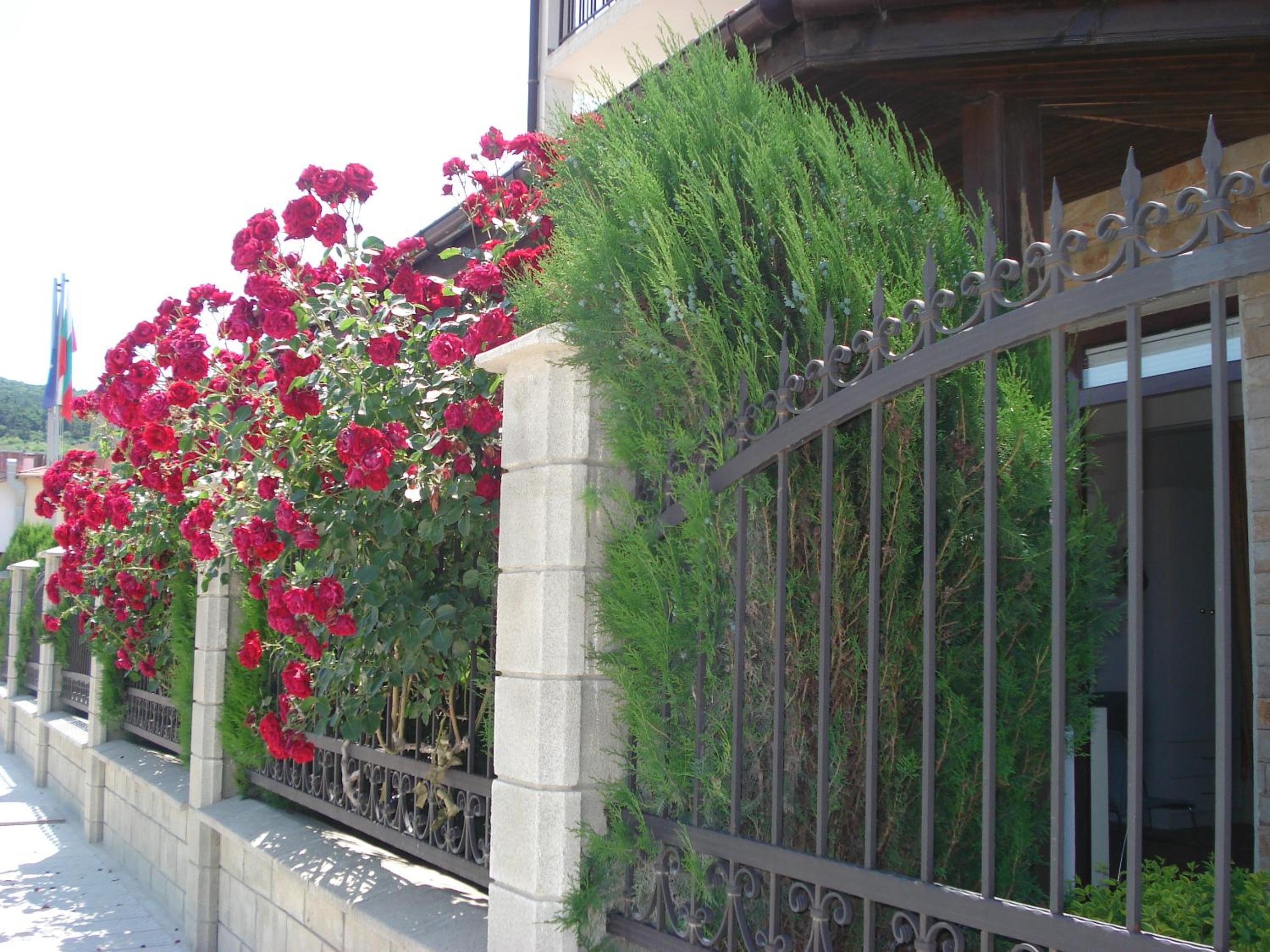 Photo 21