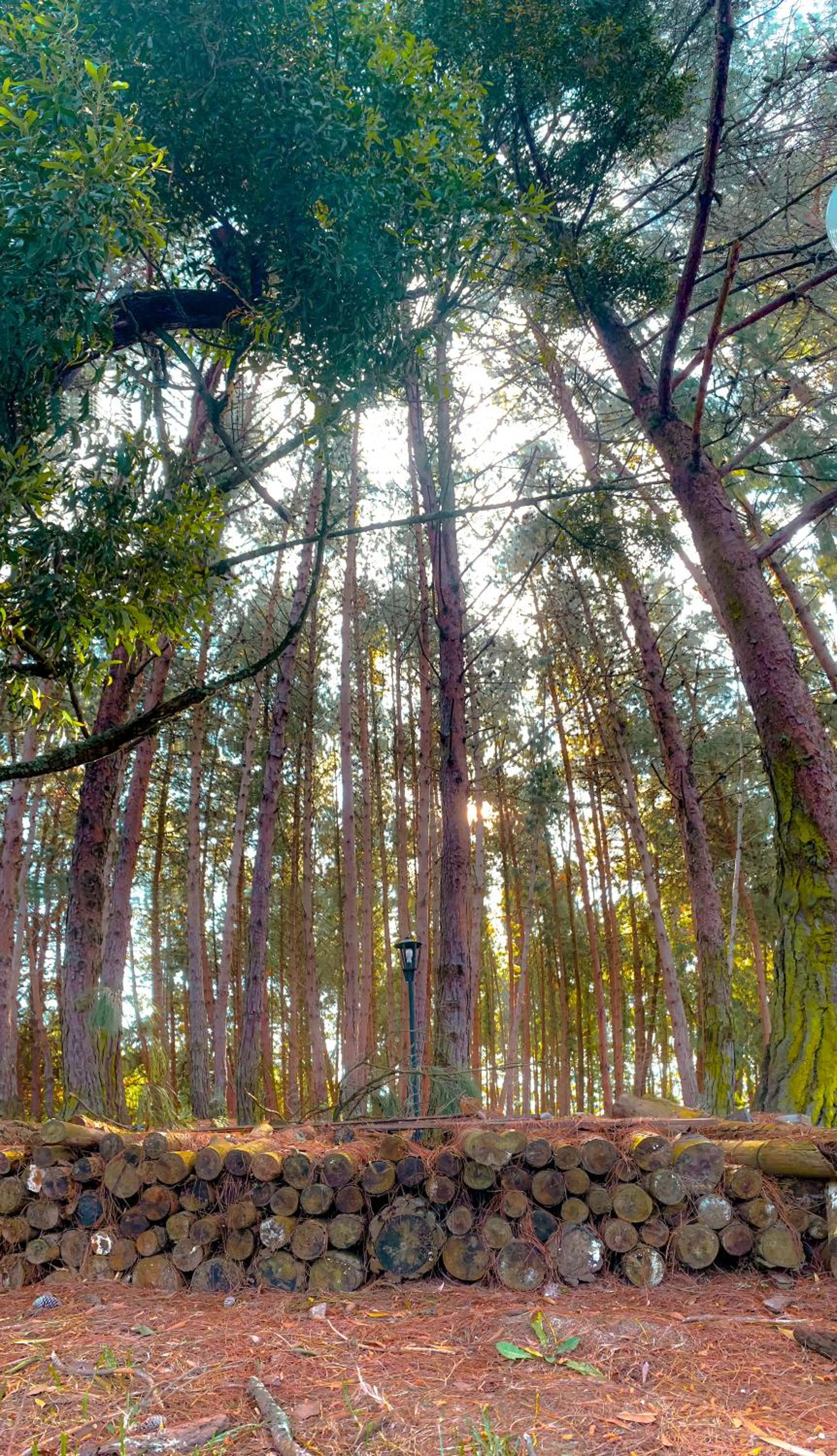 Hacienda la Odisea