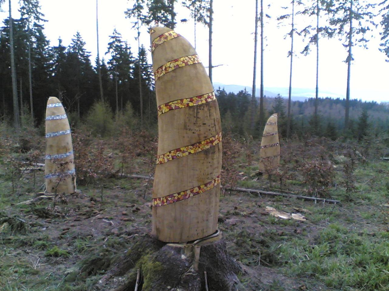 Photo 40