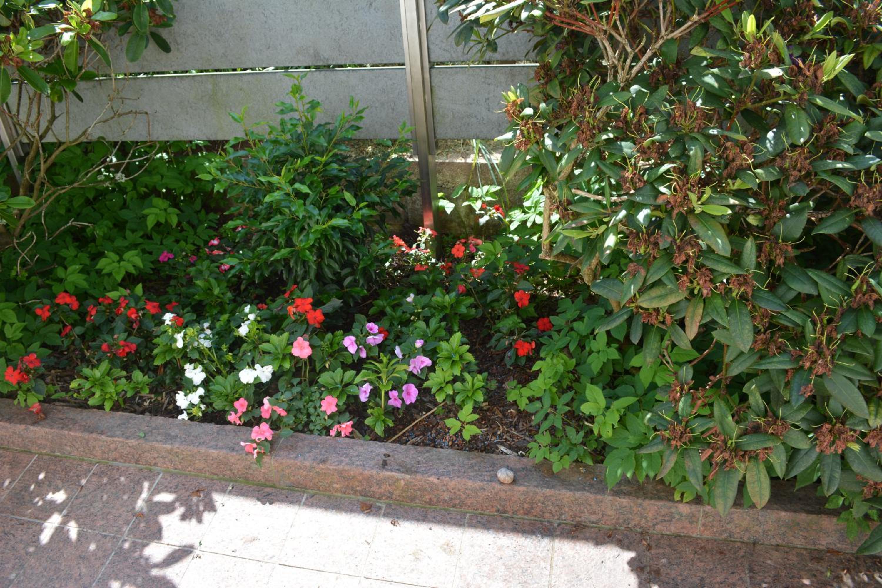 Photo 46