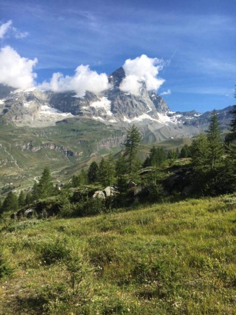 Casa Cervinia Circus