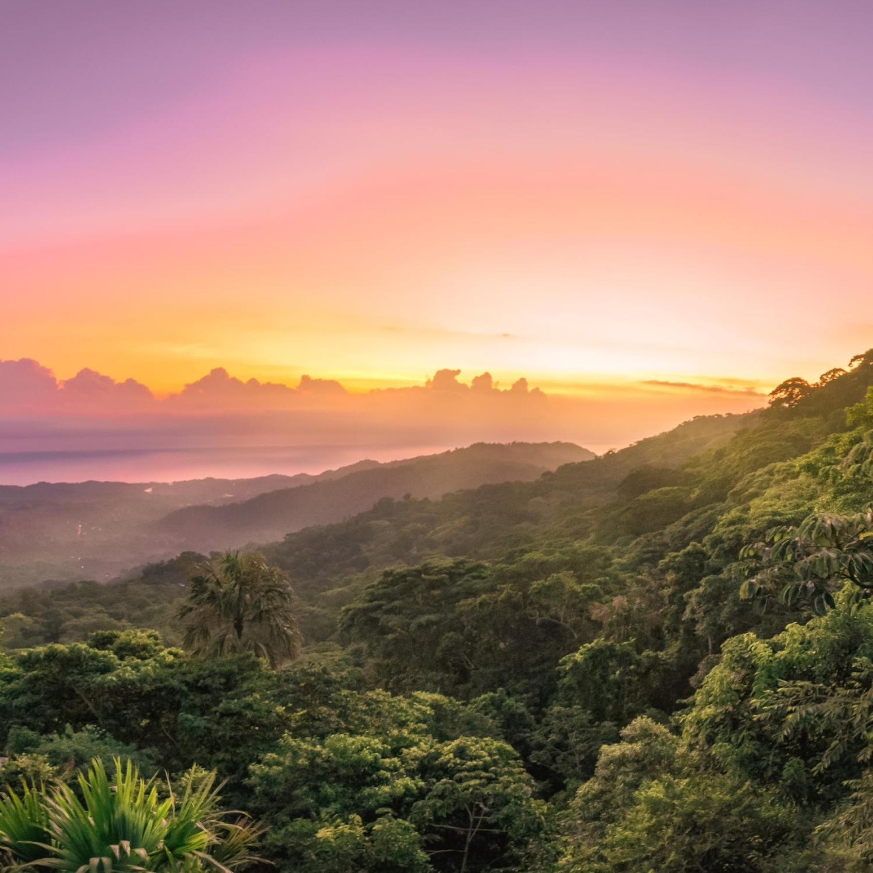 Taorayiná nature lodge- immersed in the forest view 4