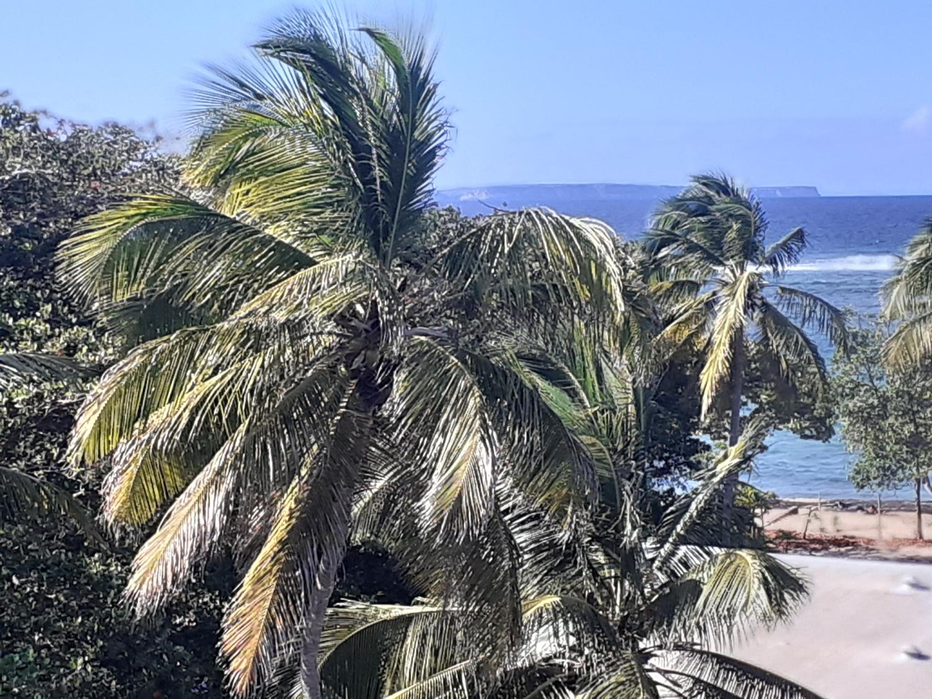 STUDIO VUE SUR MER view 4