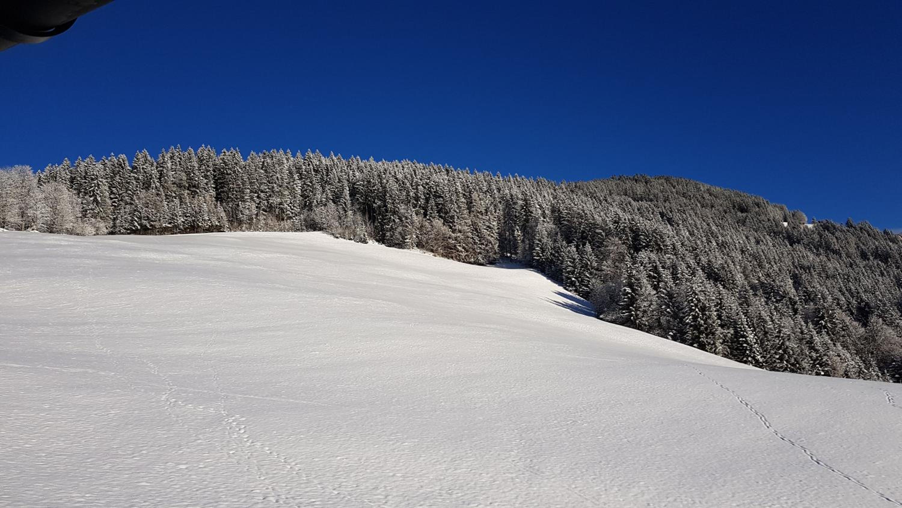 Gasthof Schöntal