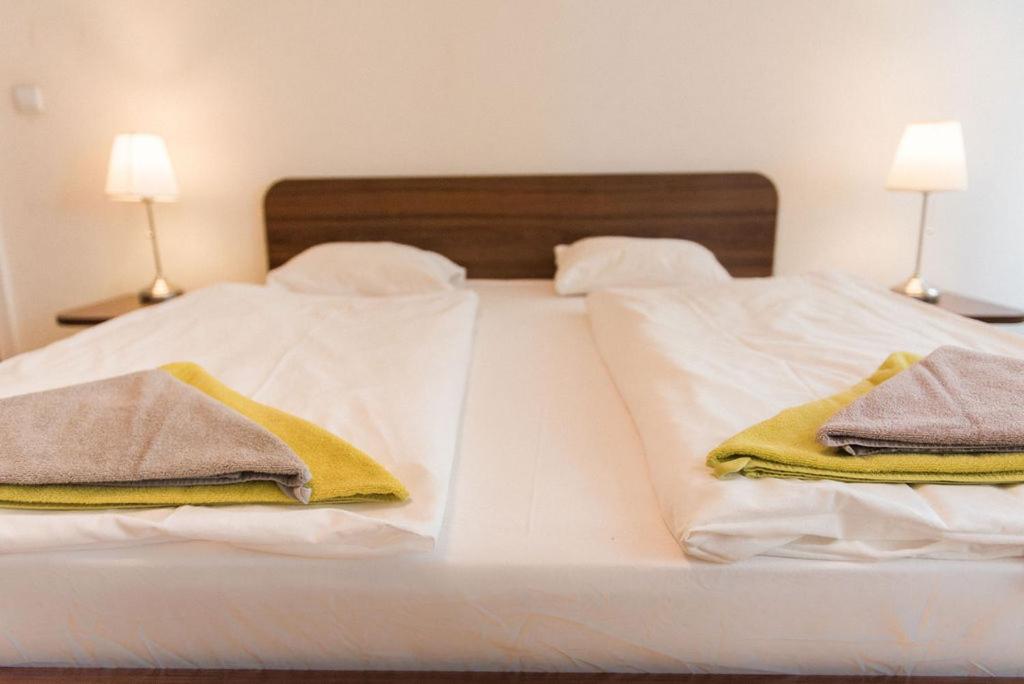 Lion Apartments in historical center, Bratislava Old Town