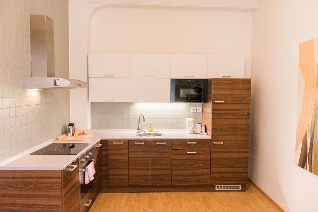 Lion Apartments in historical center, Bratislava Old Town