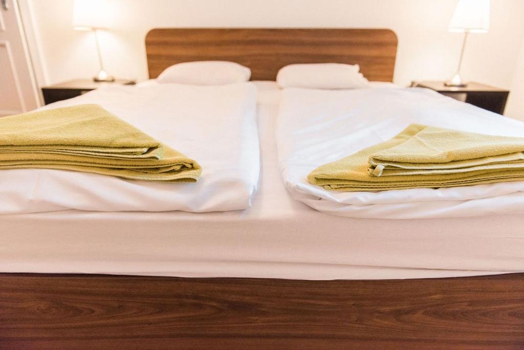 Lion Apartments in historical center, Bratislava Old Town