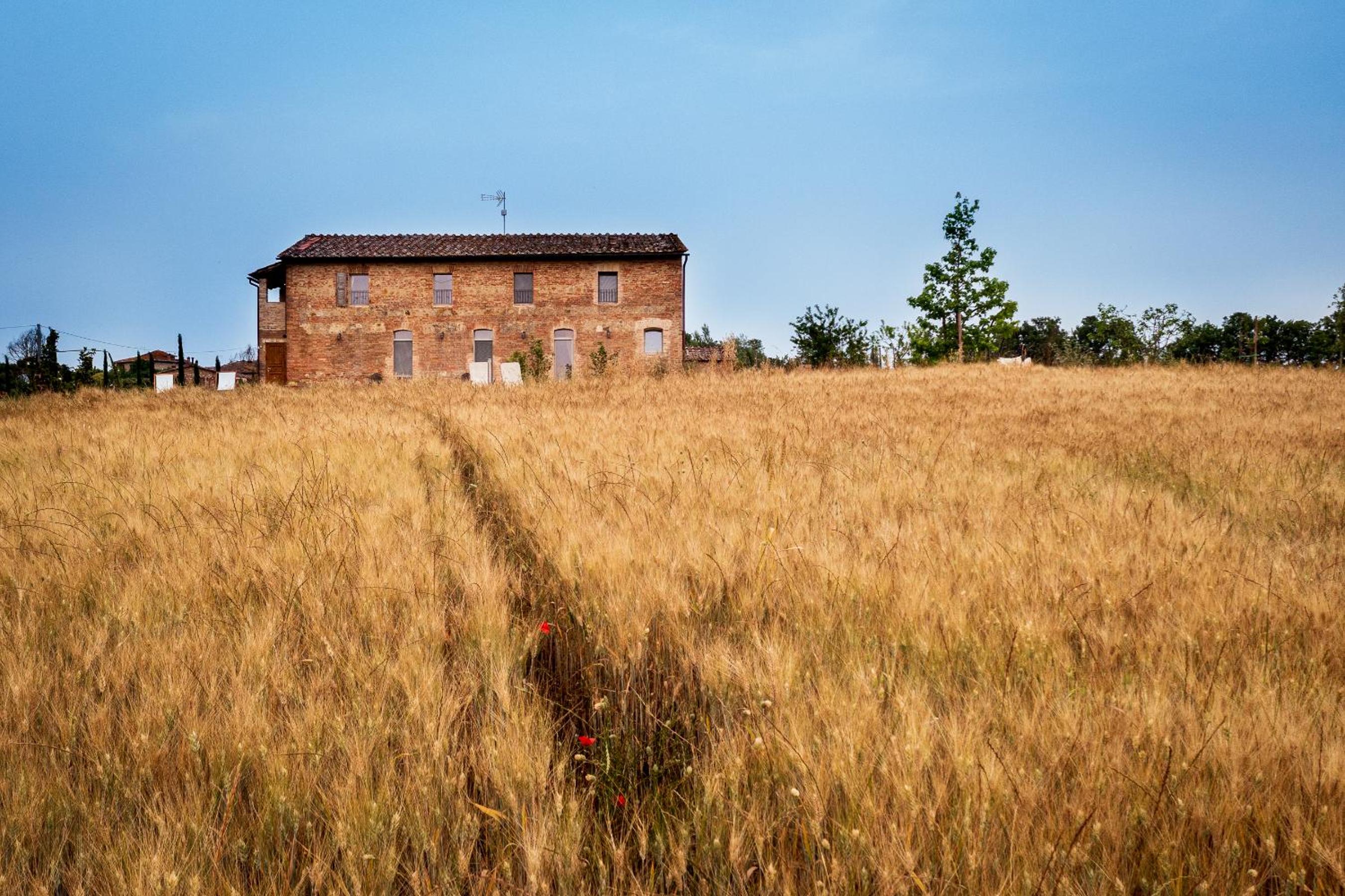 Tenuta La Santissima