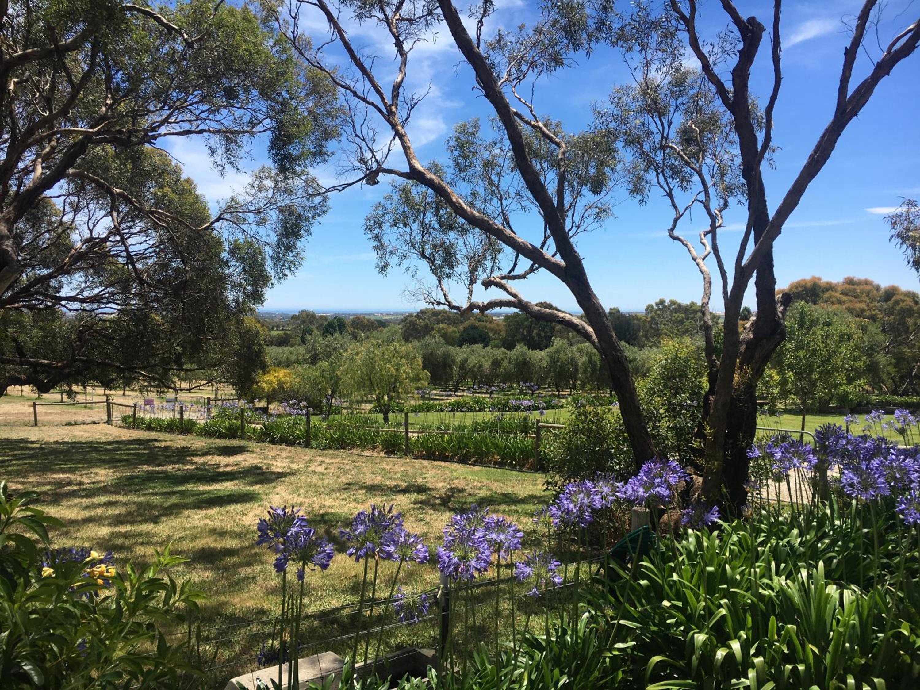 The Farm Willunga