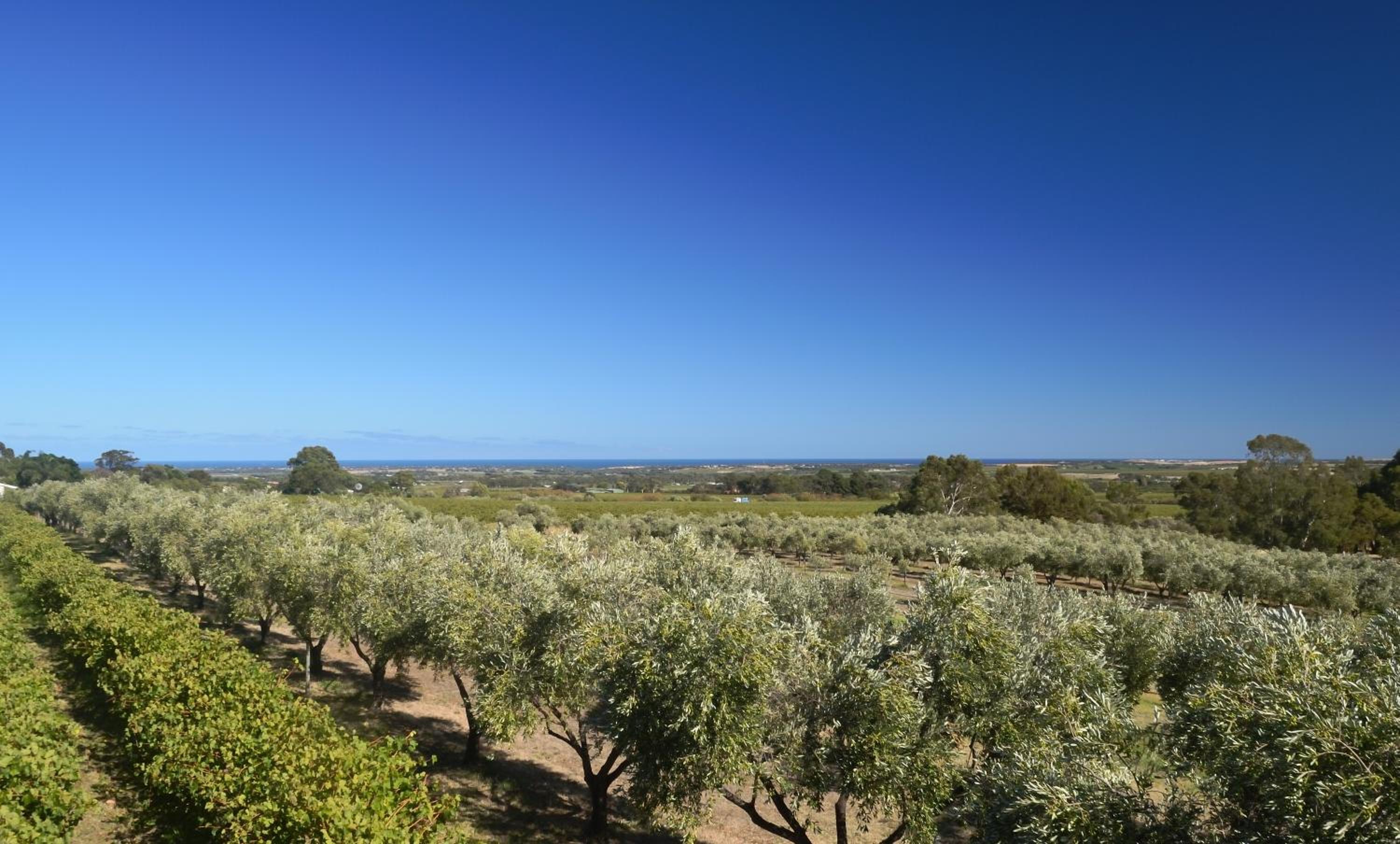 The Farm Willunga