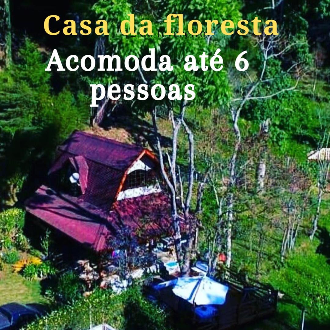 Casa na Floresta em Campos do Jordao