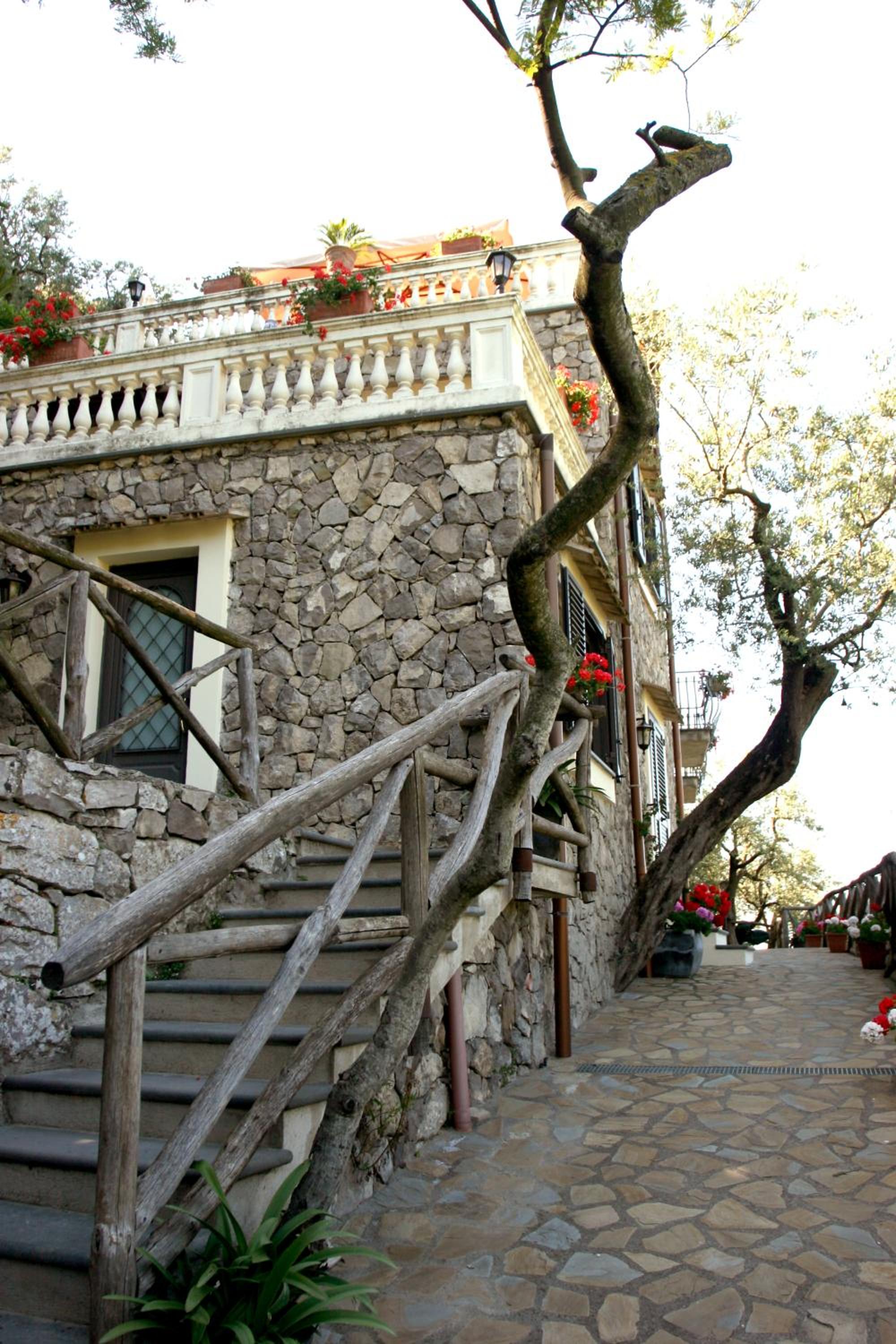 Photo 45