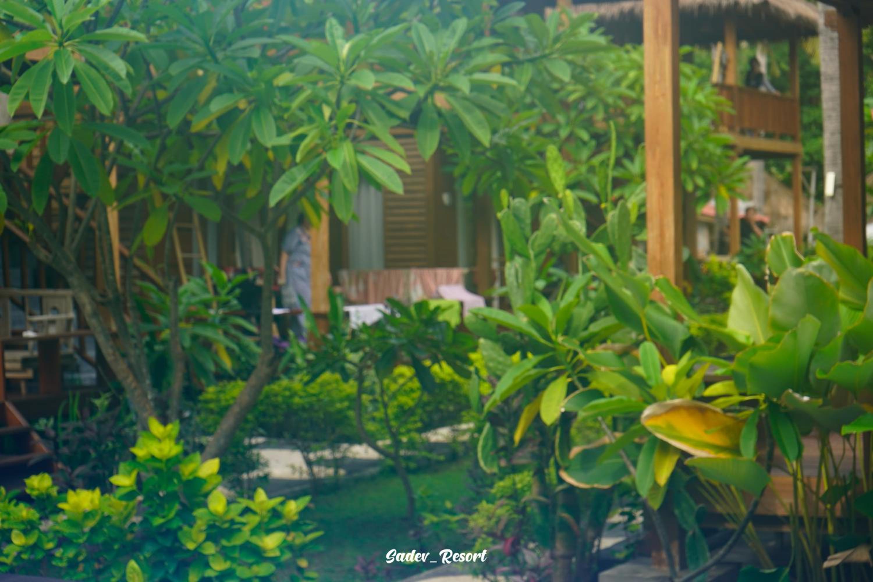 Sadev Resort