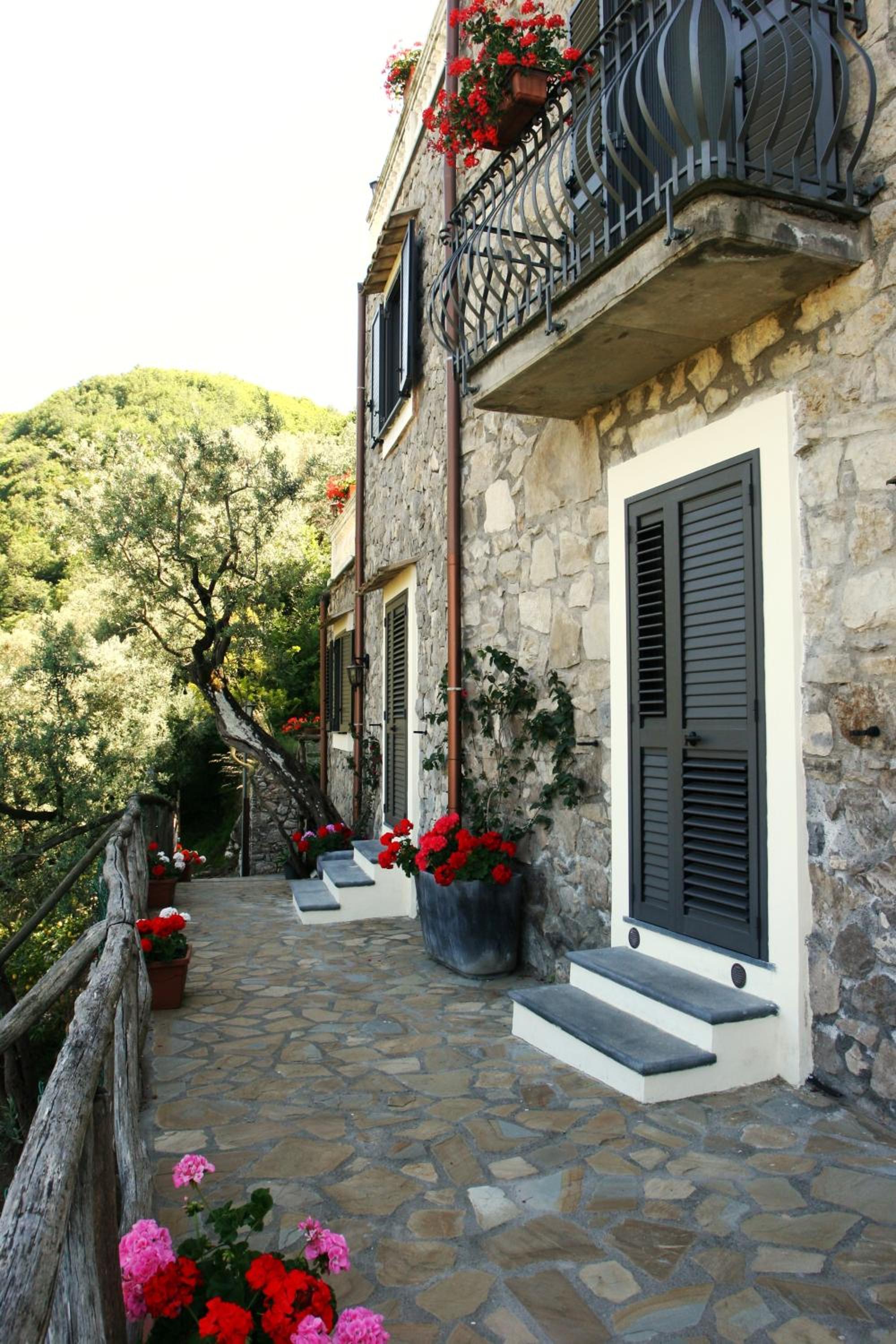 Photo 42