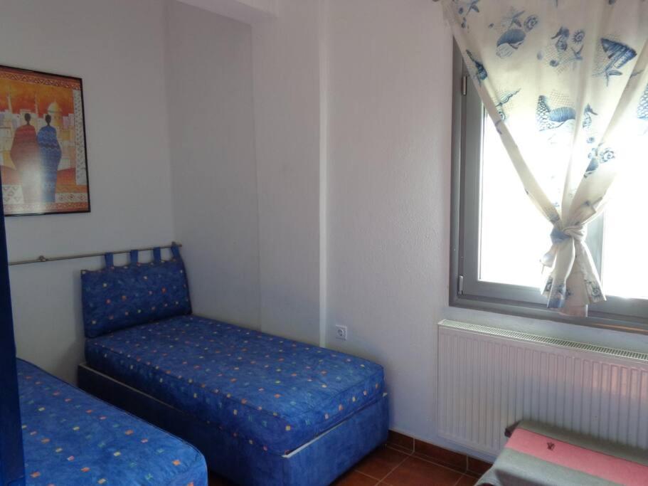 Photo 61