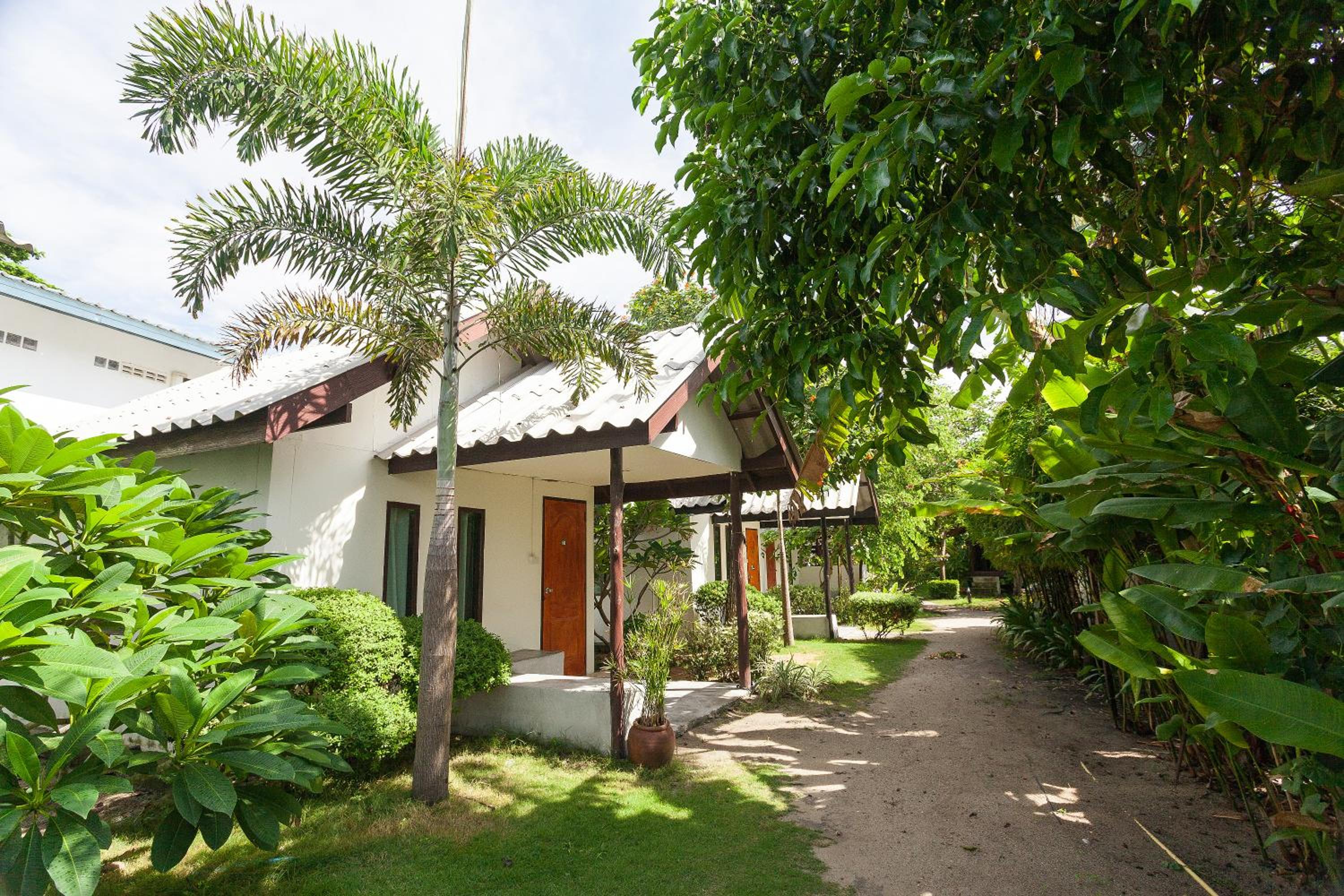 The Cosy Koh Phangan and Restaurant